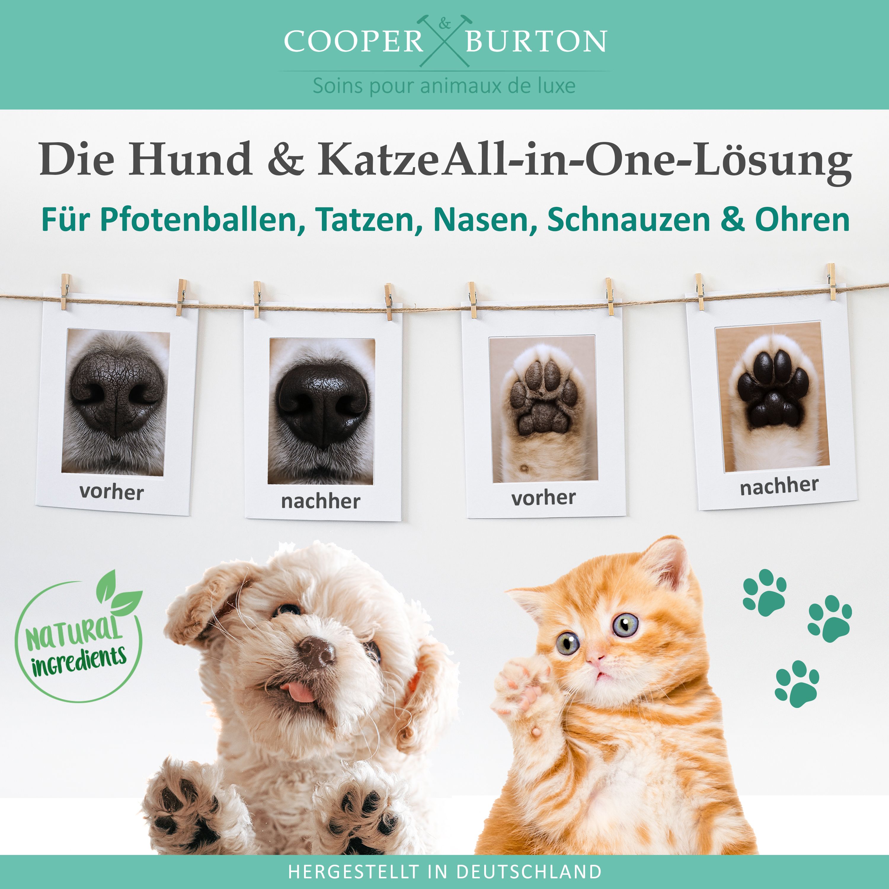 Fotos von Hunde- und Katzennasen und Pfoten. Text: Die Hund & Katze All-in-One-Lösung. Natürliche Inhaltsstoffe. Hergestellt in Deutschland. Hund und Katze.