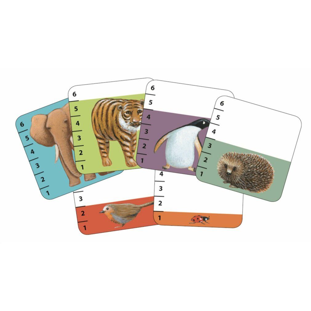 Gioco di carte djeco Chi