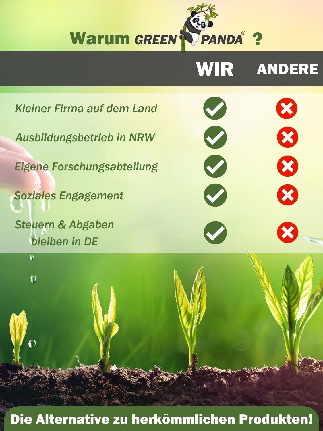 Infografik: Warum GreenPanda? Vorteile: Kleine Firma, Ausbildung, Forschung, soziales Engagement, Steuern in DE.