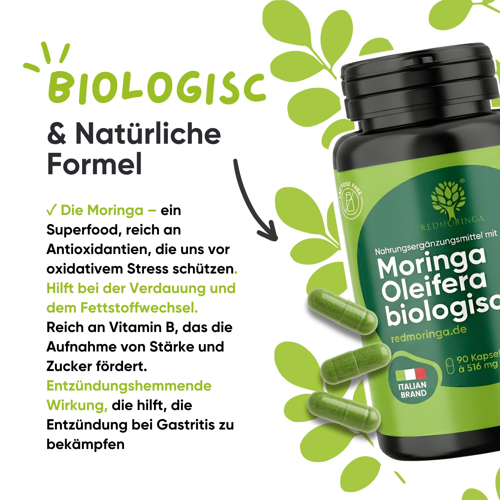 Flasche RedMoringa Moringa Oleifera Biologica mit Text über Inhaltsstoffe und Vorteile.