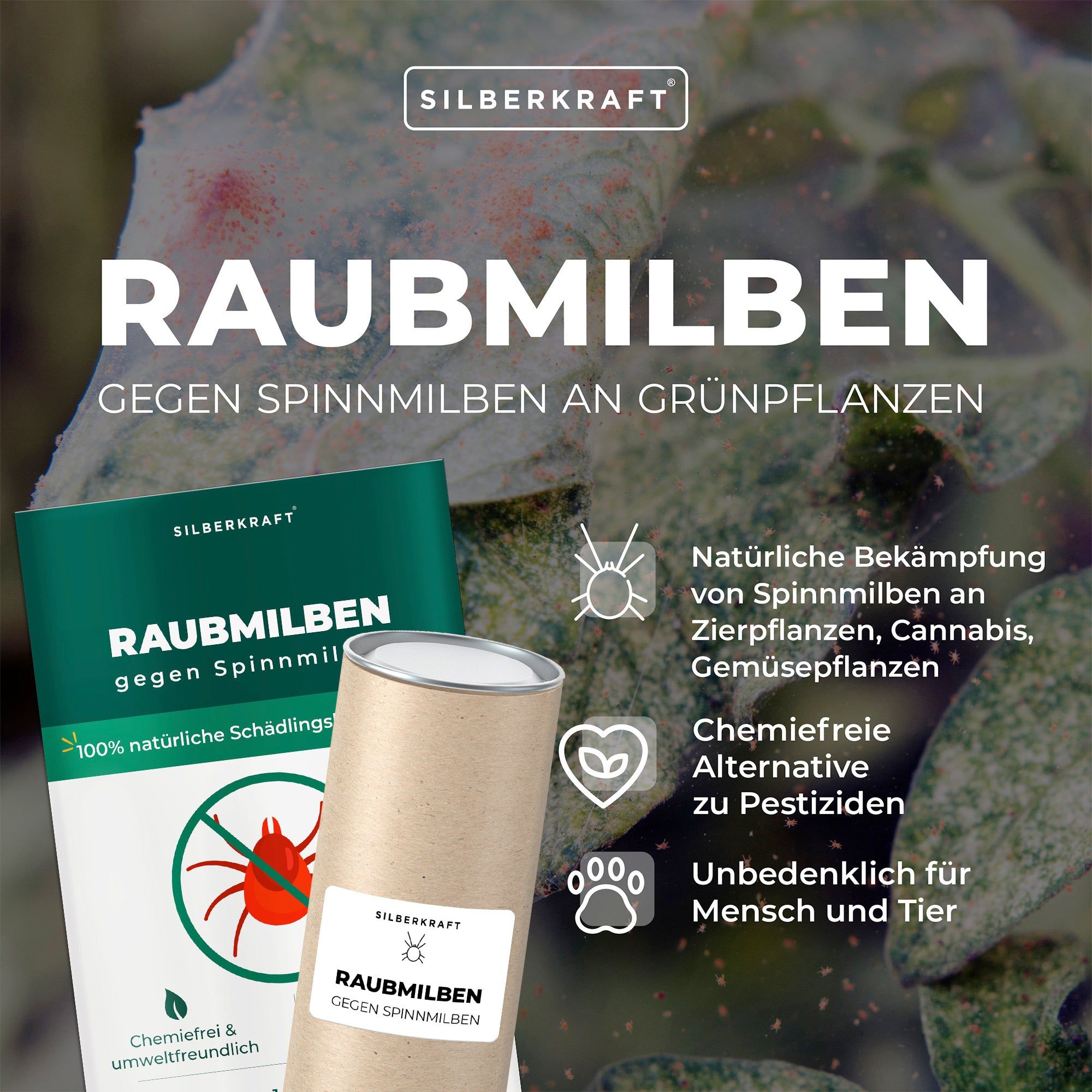 SILBERKRAFT Raubmilben