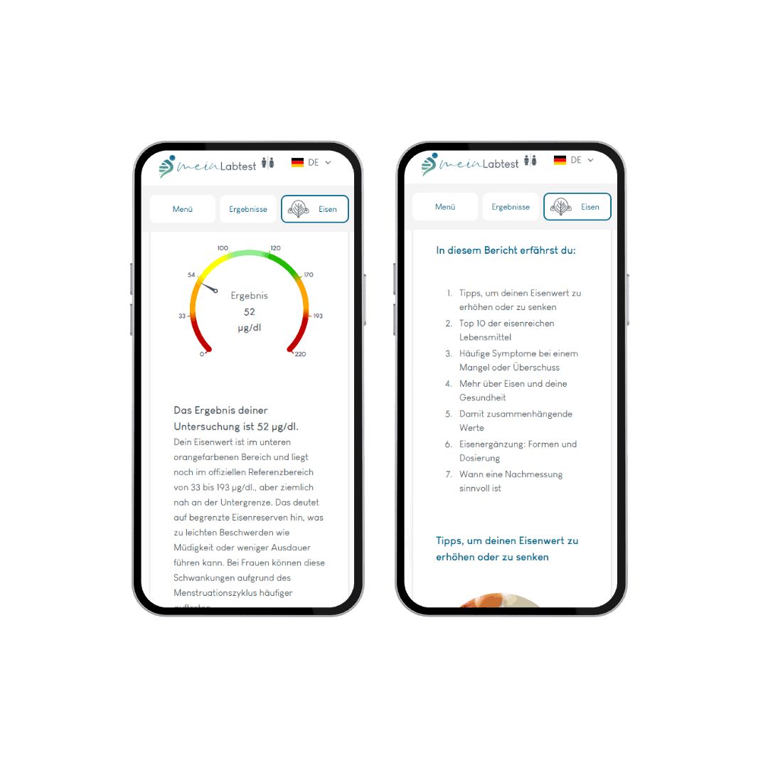 Zwei Smartphones mit Testergebnissen. Grafische Darstellung der Ergebnisse. Logo meinLabtest.