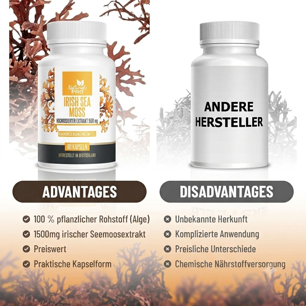 Vergleich von Irish Sea Moss Kapseln mit Produkten anderer Hersteller. Vorteile und Nachteile.