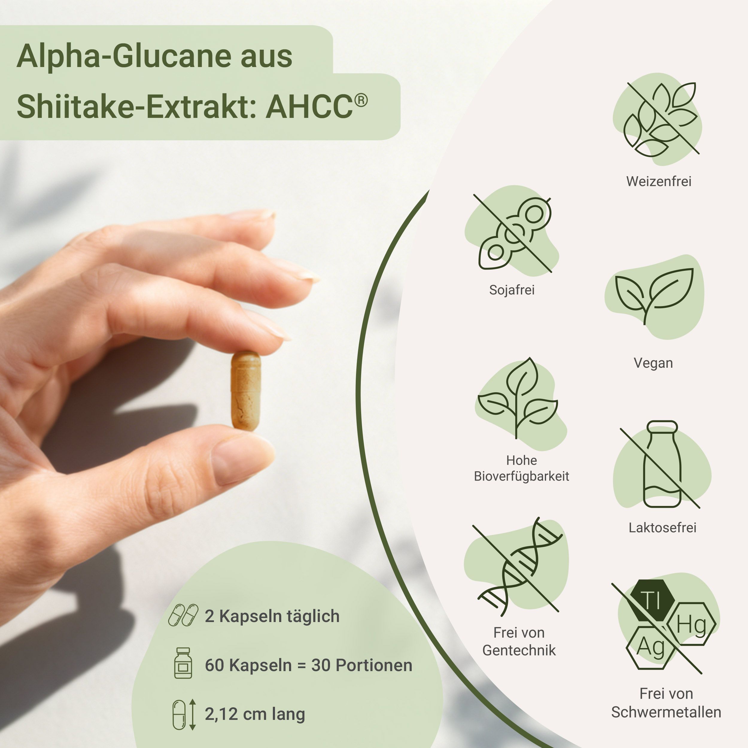 Hand hält AHCC Kapsel, Informationen zu Inhaltsstoffen und Größe.