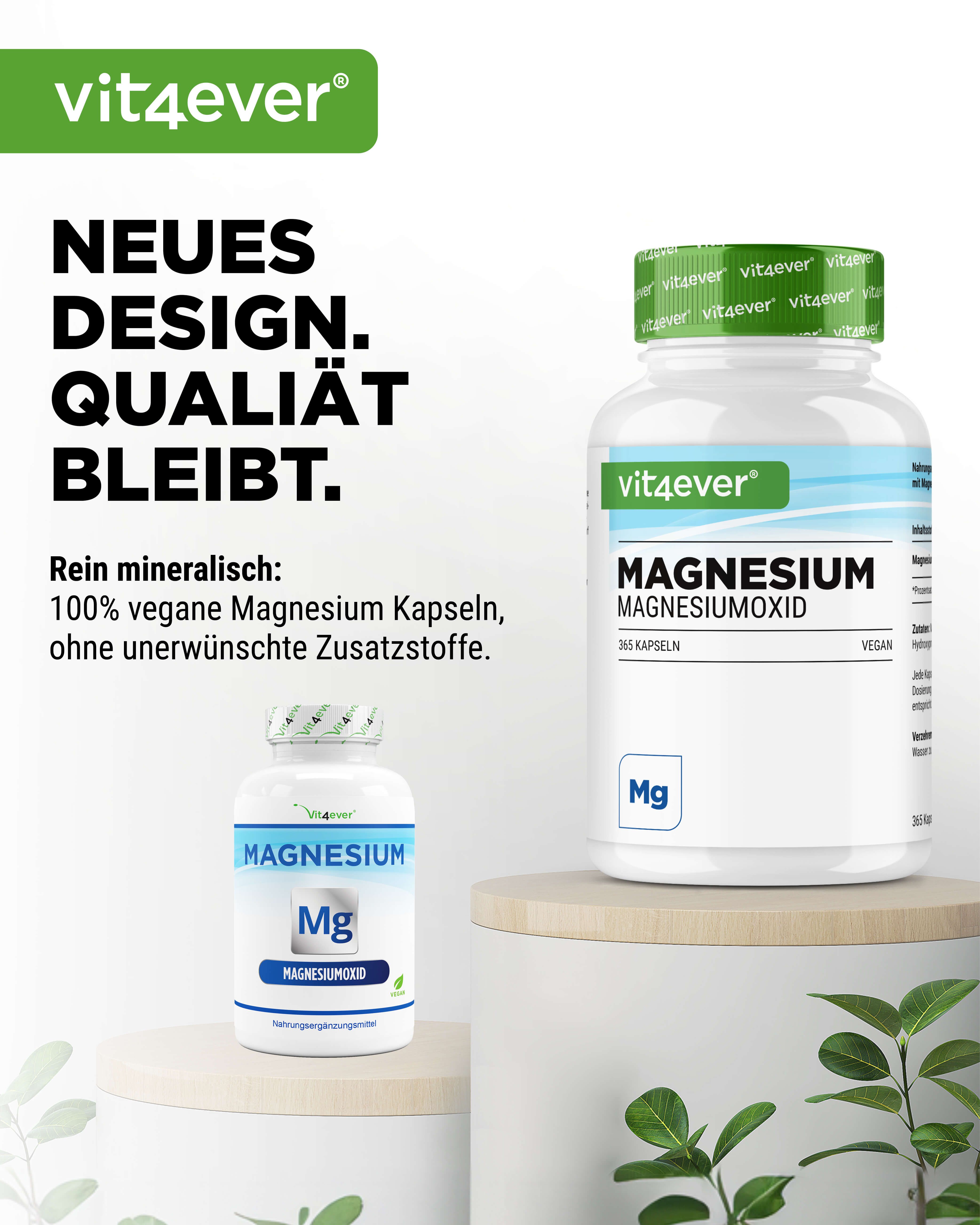 vit4ever Magnesium 365 St Kapseln