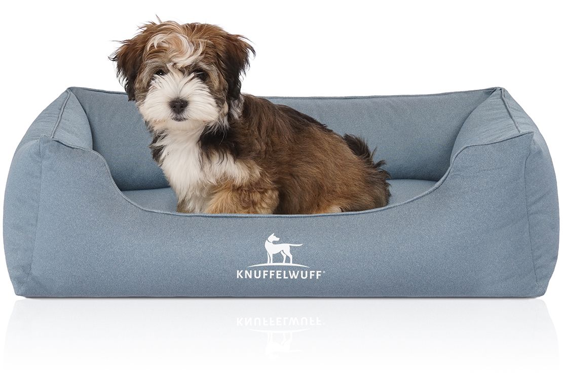 Hundebett, blau, mit Hund. Logo Knuffelwuff. Kleiner Hund, braun-weiß, liegt im Bett. Weißer Hintergrund.