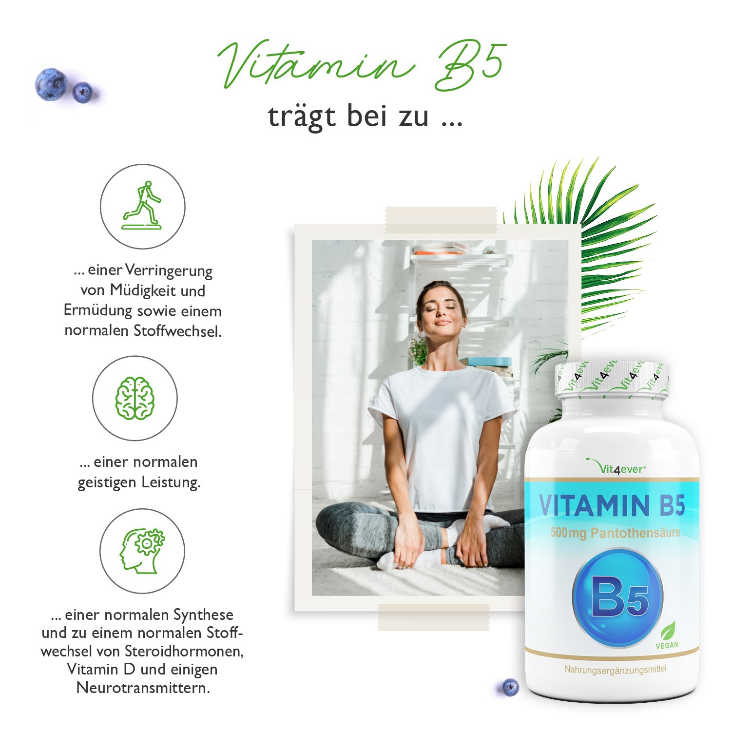 vit4ever Vitamin B5 - Pantothensäure - Hochdosiert