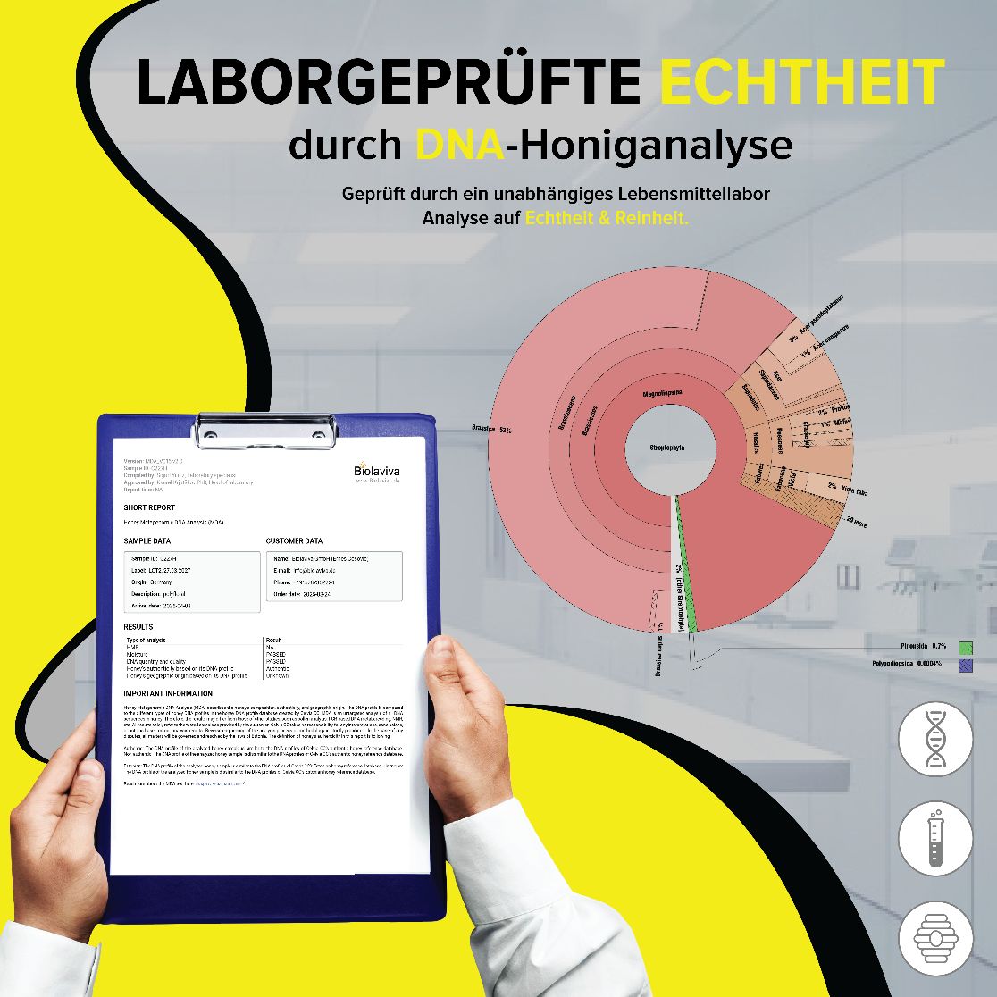 Laborgeprüfte Echtheit durch DNA-Honiganalyse. Dokument mit Diagramm und Icons. Hände halten Dokument.