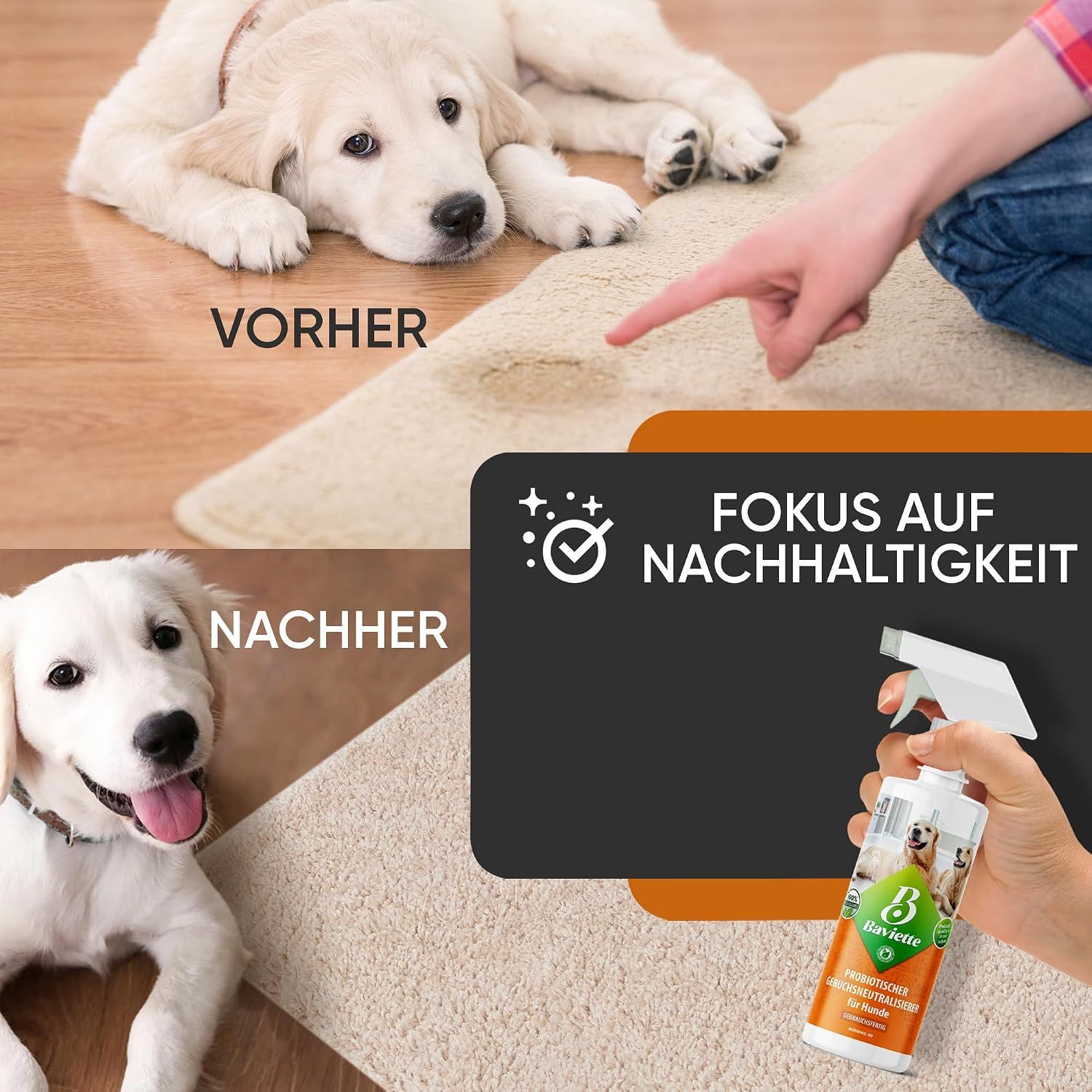 Baviette Probiotischer Geruchsneutralieser Konzentrat für Hundehaushalte