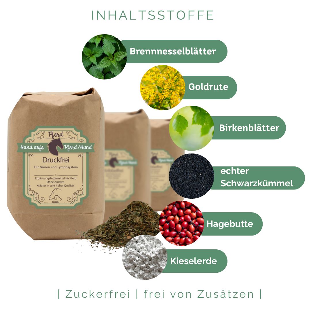 Drei braune Papiertüten mit Produktetikett und Kräutermischung. Abgebildet sind Zutaten: Brennnesselblätter, Goldrute, Birkenblätter, Schwarzkümmel, Hagebutte, Kieselserde.