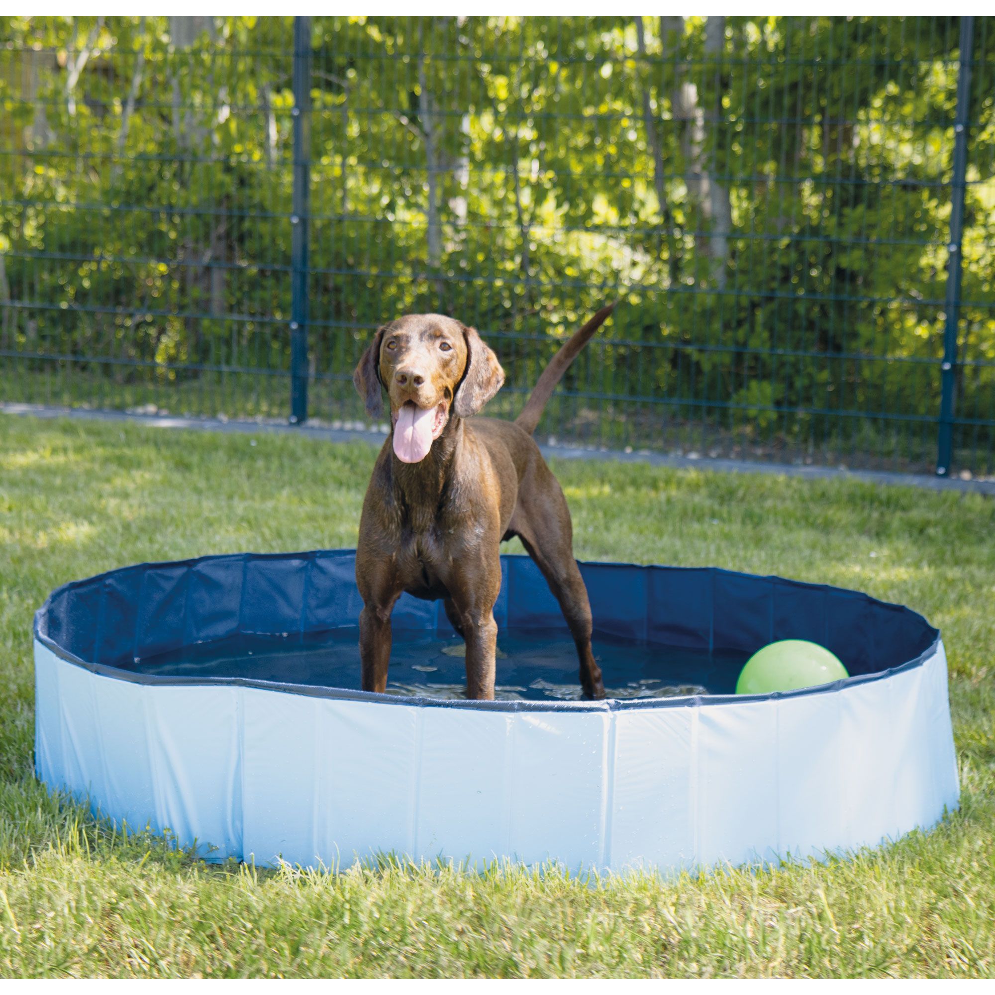 Doggy-Pool und Wassersprüher Coolpets - Hunde Pool