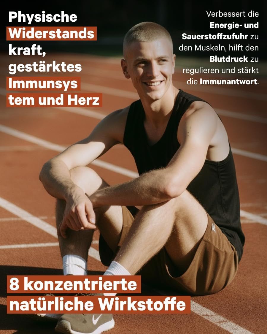 NUTRIBRAIN Ashwagandha Komplex Angebot