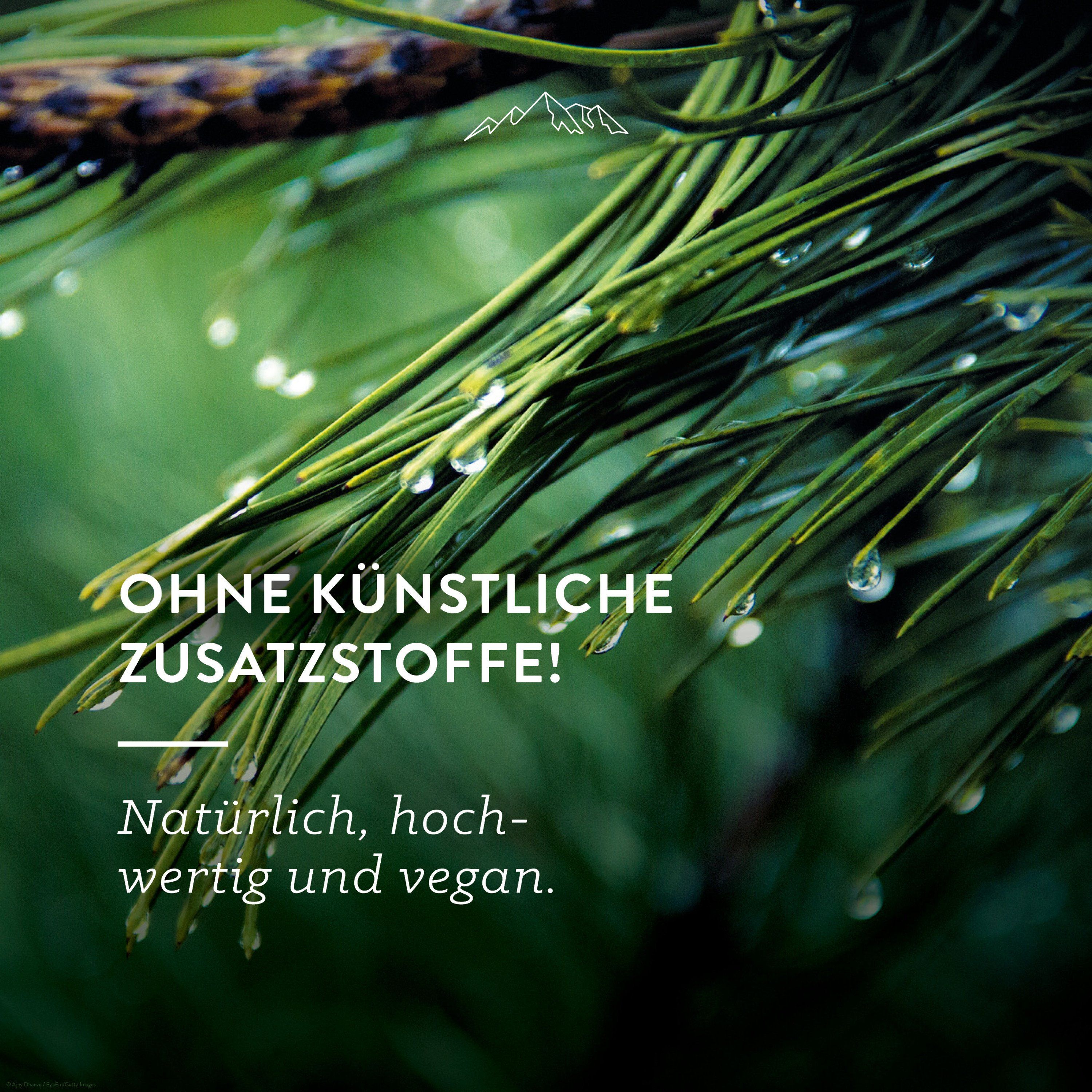 Allgäuquelle  Bio Duftöl Duftmischung Naturluft Alpenzirbe, Lorbeer, Fichte, Kiefer