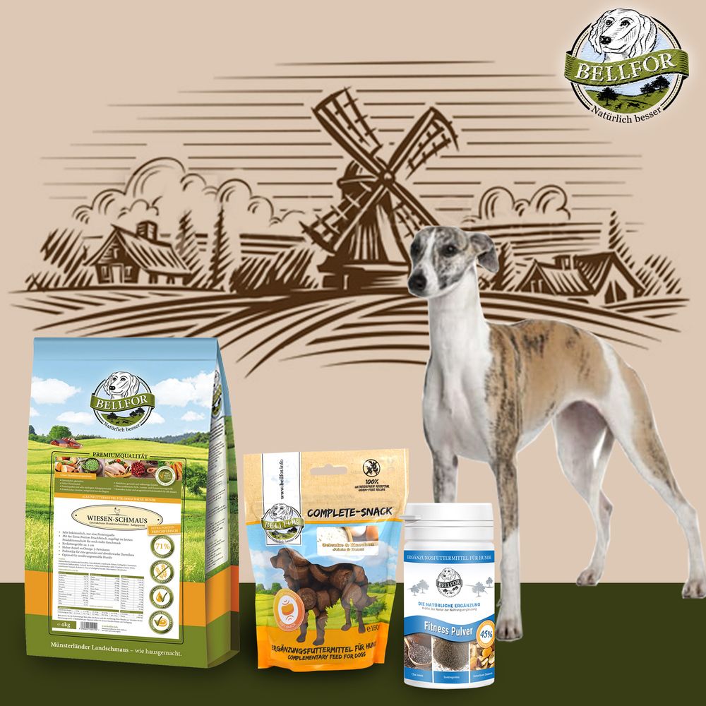 Bellfor Sparset für Windhunde: Wiesen-Schmaus + Gelenke und Knochen Complete-Snack + Fitness Pulver