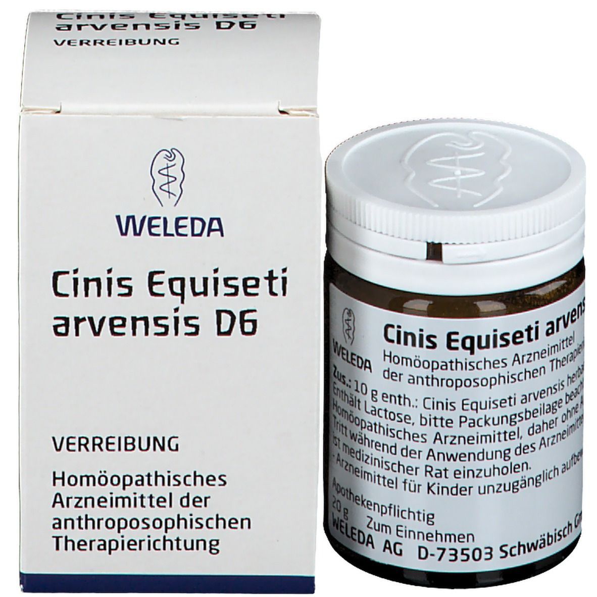 Cinis Equiseti Arvensis D 6 Trituration