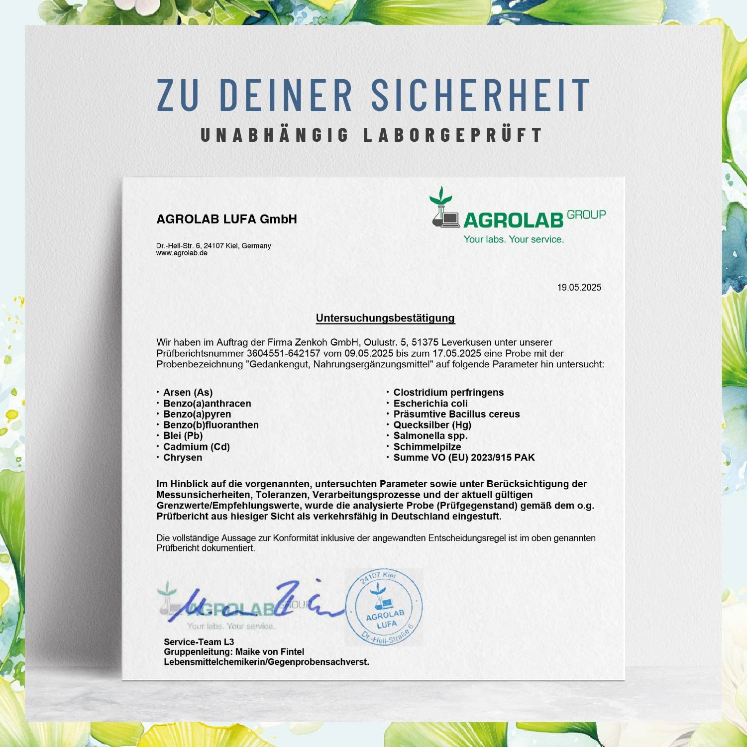 Gedächtnis-Komplex mit Löwenmähne, Ginkgo & L-Cystein - Gedankengut - NATURTREU®