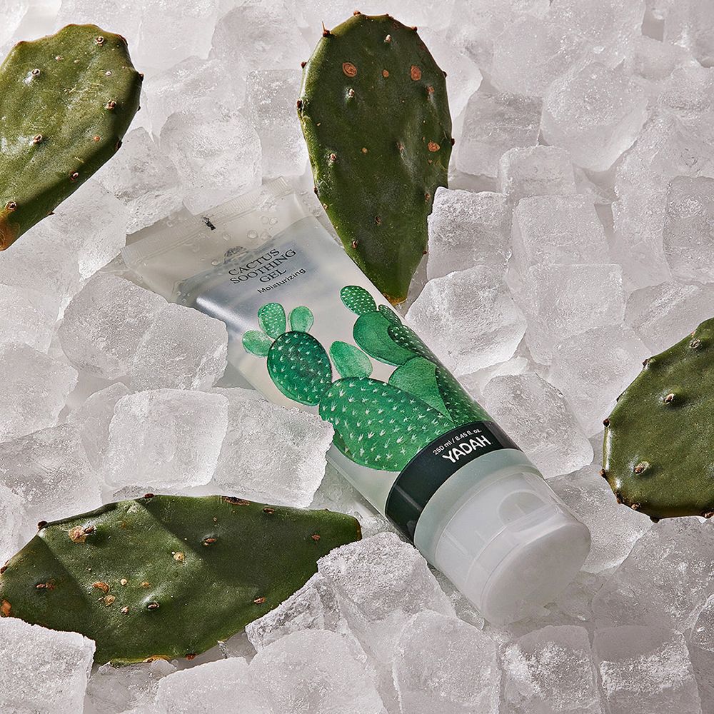 Yadah Cactus Soothing Gel