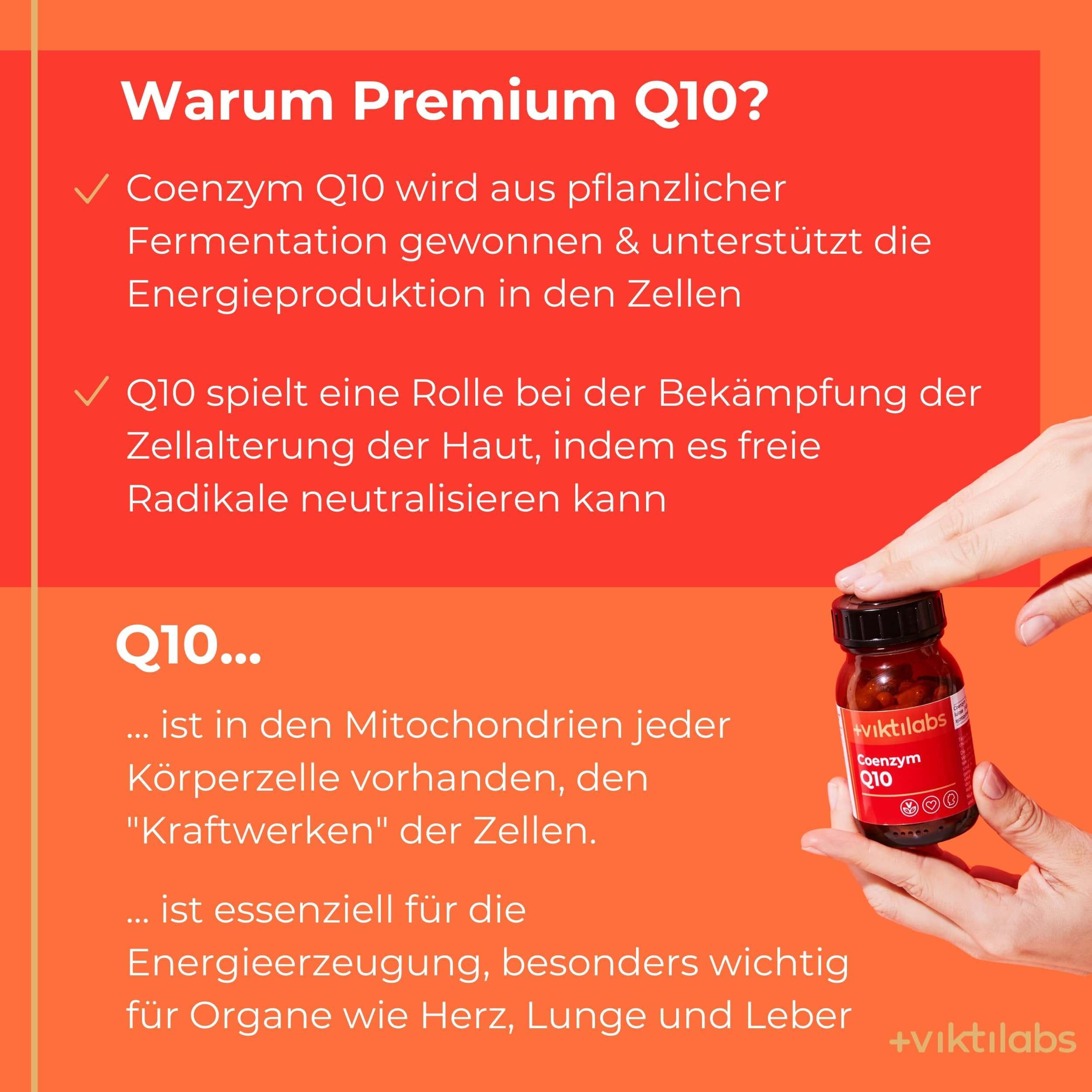Viktilabs Coenzym Q10: Hochdosiertes Ubichinon aus natürlicher Fermentation