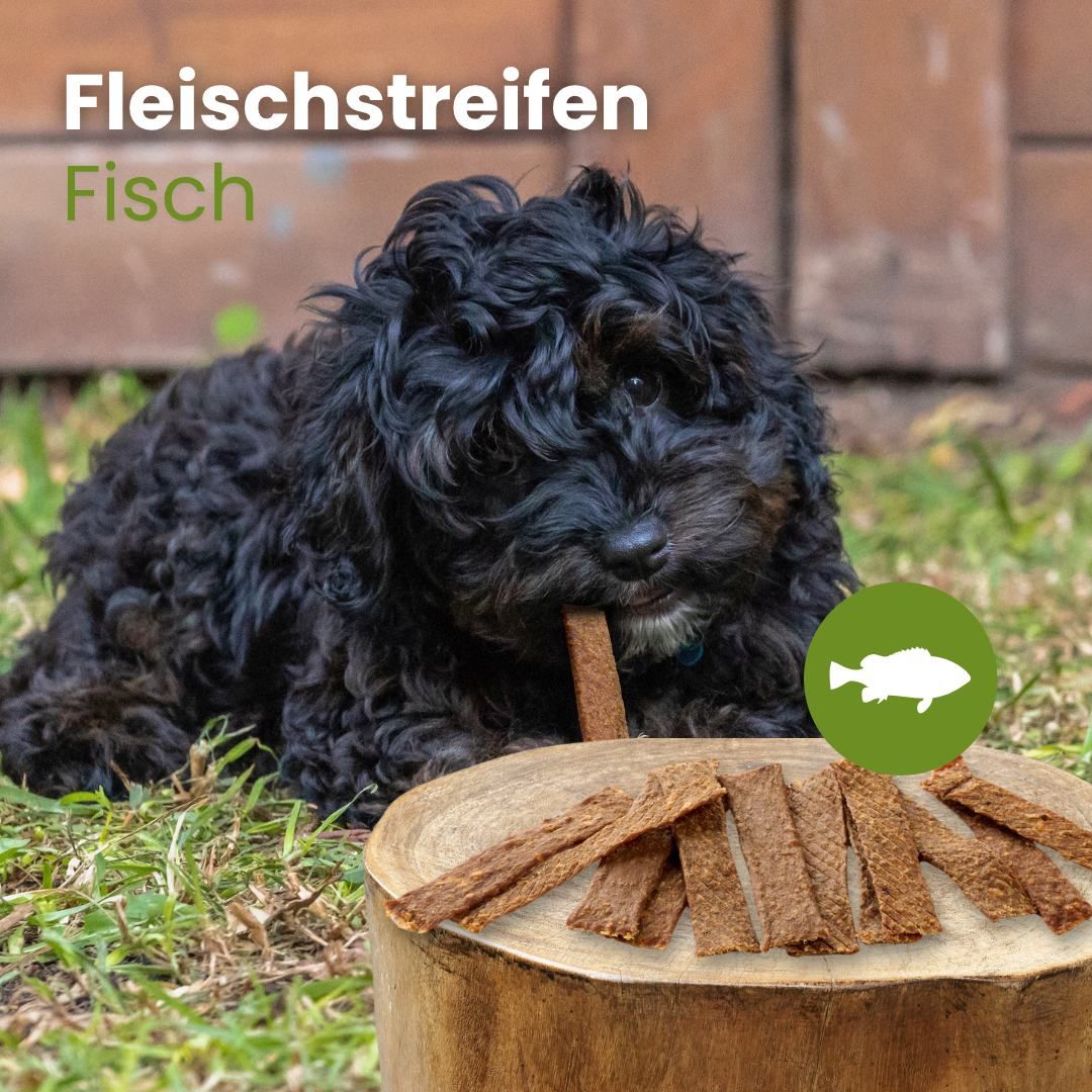 Kleiner Hund kaut auf einem Fisch-Kauartikel, daneben liegen weitere Streifen auf einem Holzstamm.