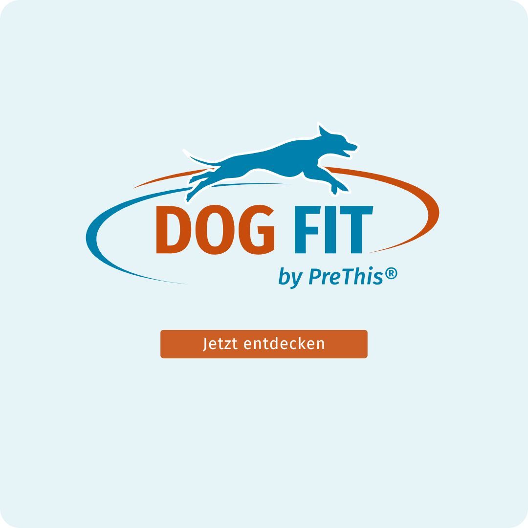 Blaues Logo mit Hund. Text: DOG FIT by PreThis®. Button: Jetzt entdecken.