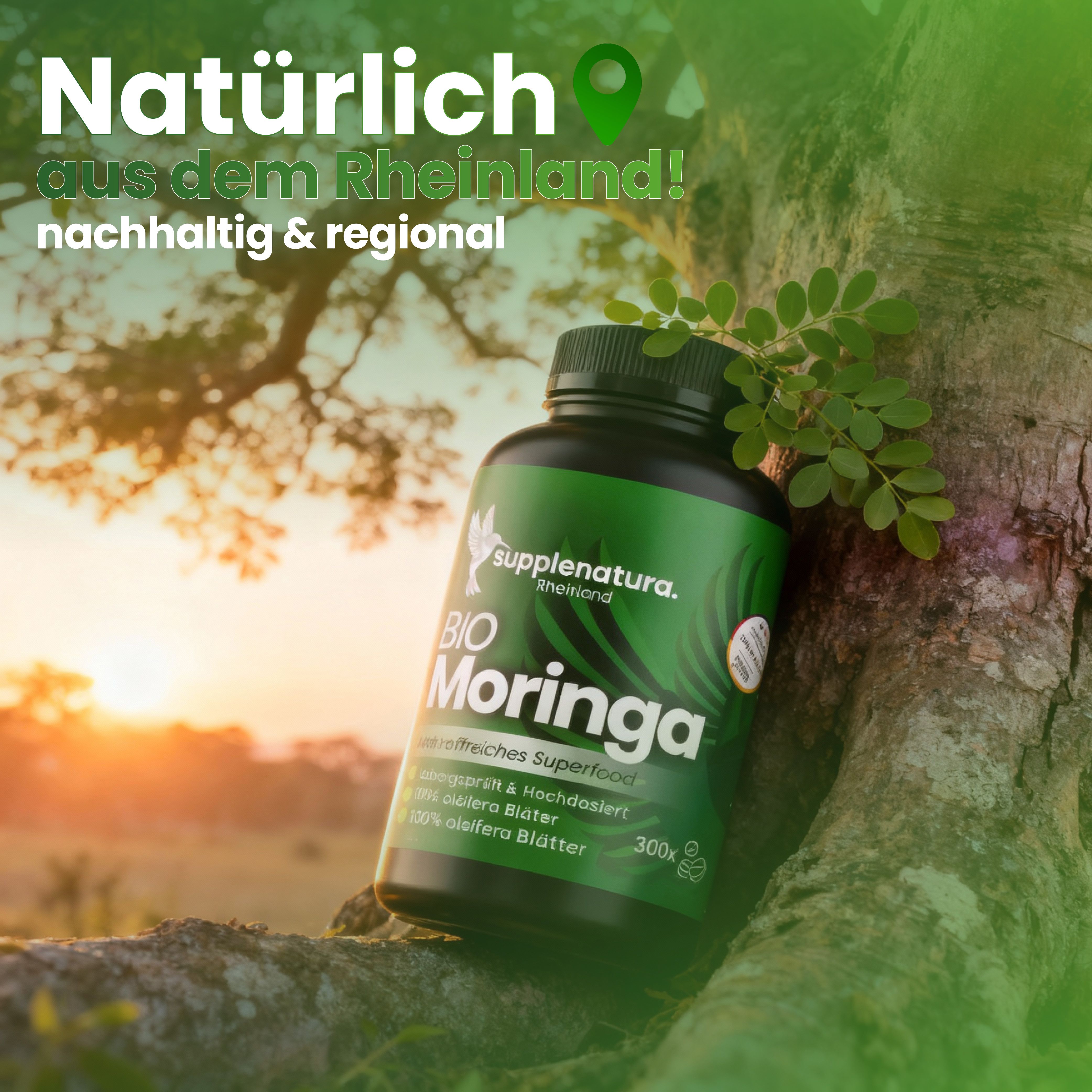 Grüne Flasche BIO Moringa Kapseln an einem Baum. Text: Nachhaltig & regional, aus dem Rheinland!