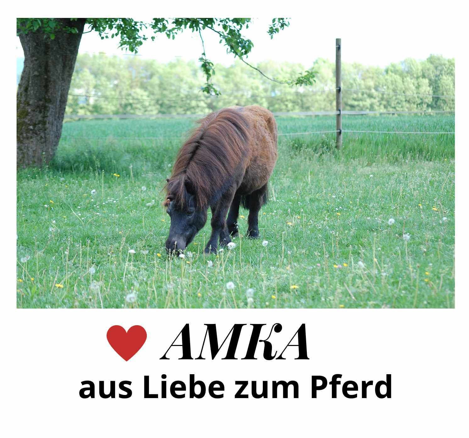 AMKA Trensenzaum Shiny dekoratives Stirnband Glitzersteine engl. komb.