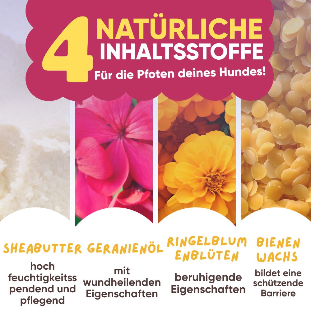 Vier natürliche Inhaltsstoffe für Hundepfoten: Sheabutter, Geranienöl, Ringelblumen, Bienenwachs.