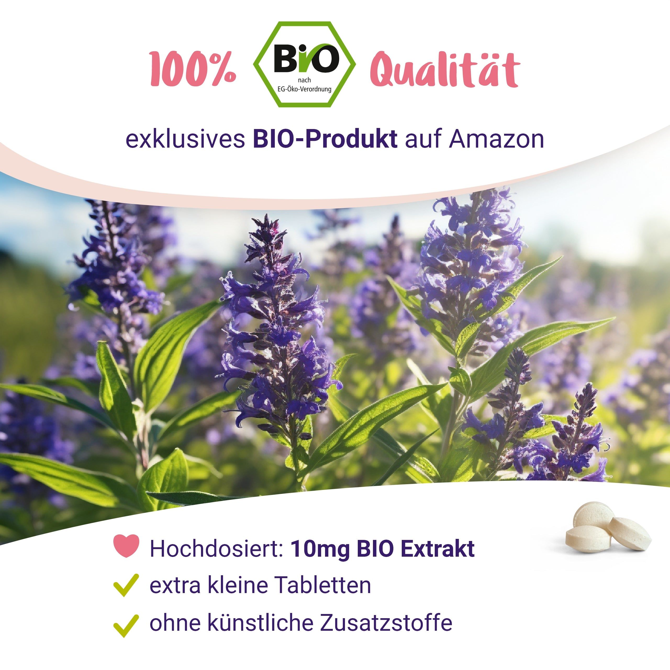 BIO Mönchspfeffer 10mg - von PregniVital® 120 St Tabletten