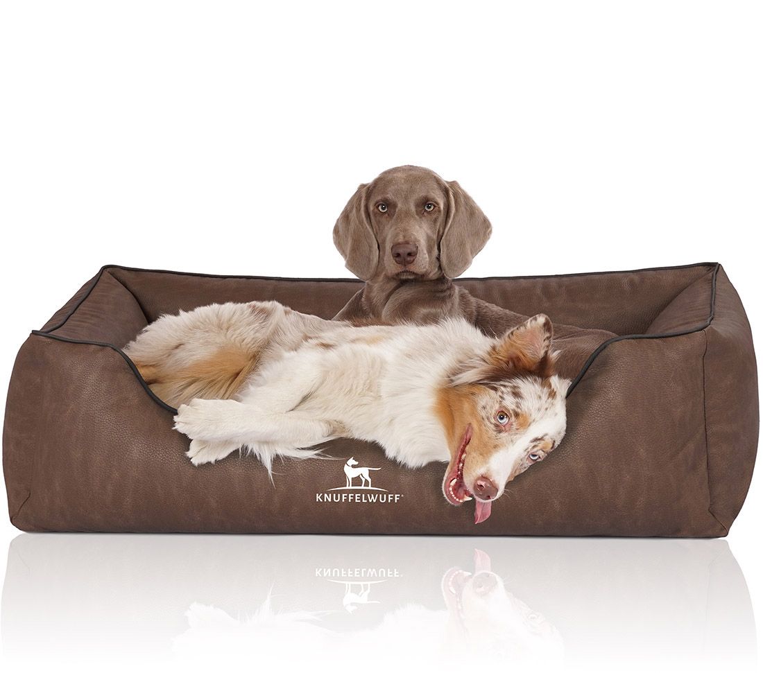 Hundebett mit zwei Hunden. Braunes Bett mit Logo Knuffelwuff. Ein Hund liegt, einer sitzt. Kunstleder-Optik.