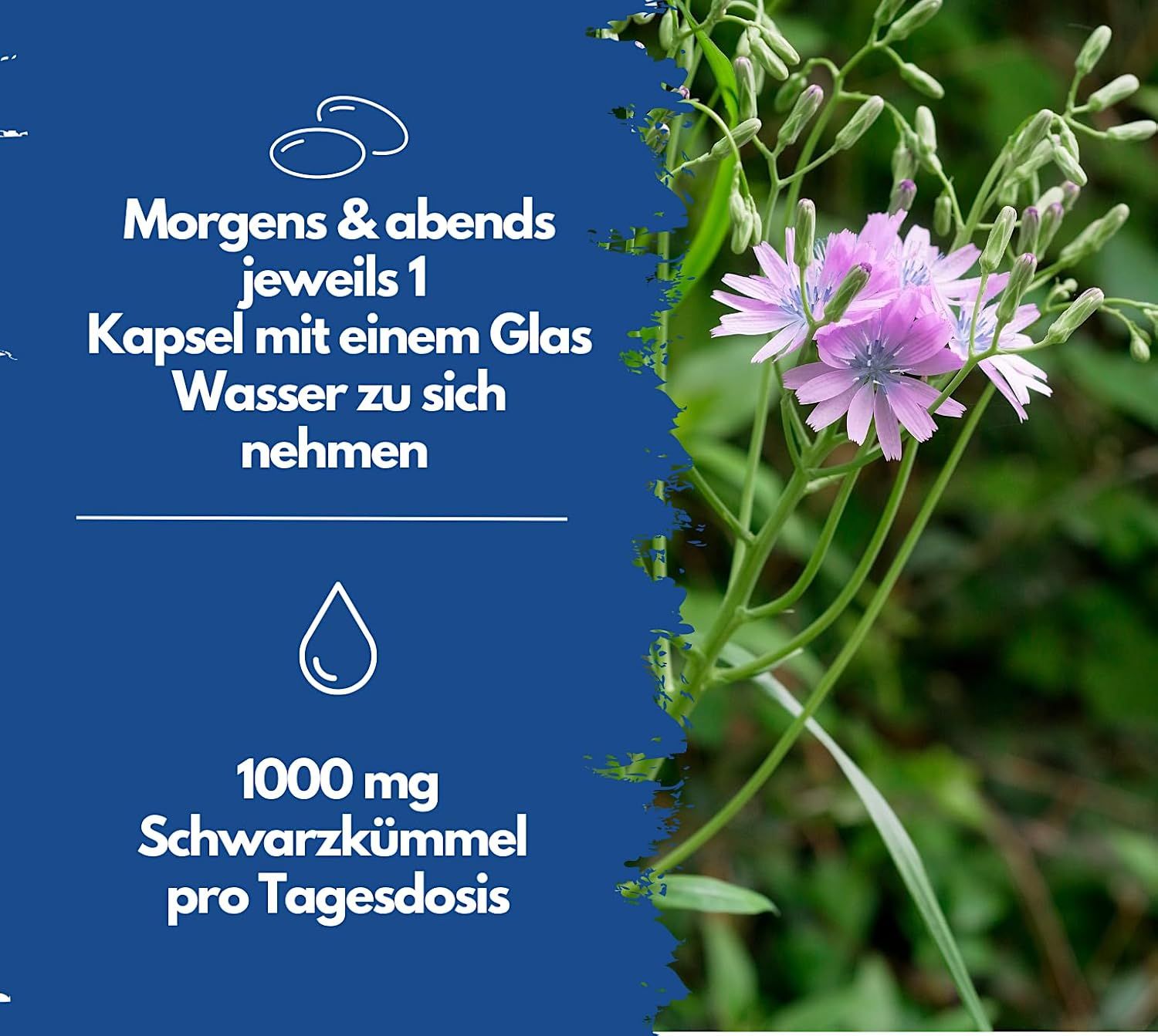 Flasche EXVital Olio di cumino nero, 400 capsule, prodotto in Germania.