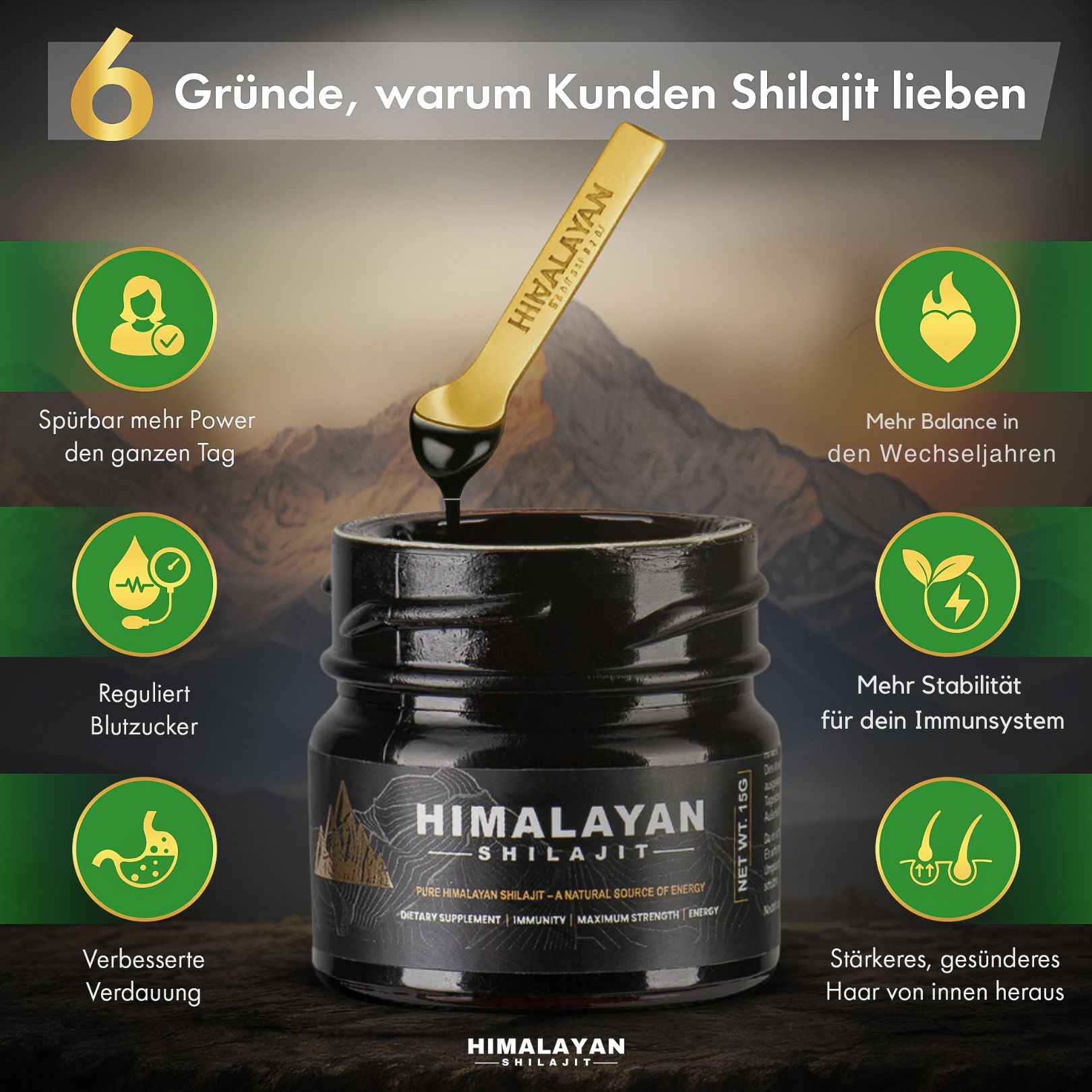 Glasbehälter mit schwarzem Inhalt, Löffel. Text: "6 Gründe, warum Kunden Shilajit lieben". Grafiken mit Icons.