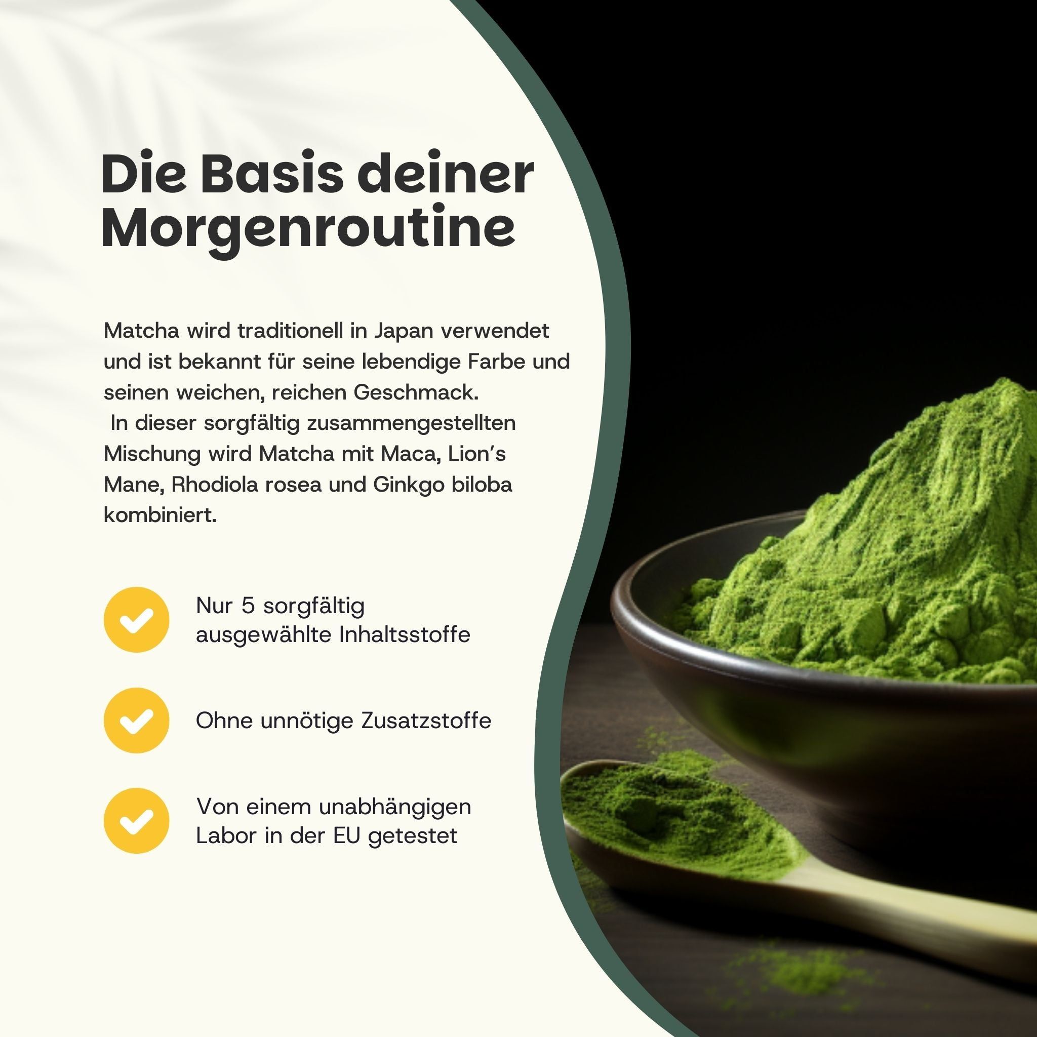Grünes Matcha-Pulver in Schale und Löffel. Text: Matcha-Mischung mit Maca, Lion's Mane, Rhodiola rosea, Ginkgo biloba. 5 Inhaltsstoffe.