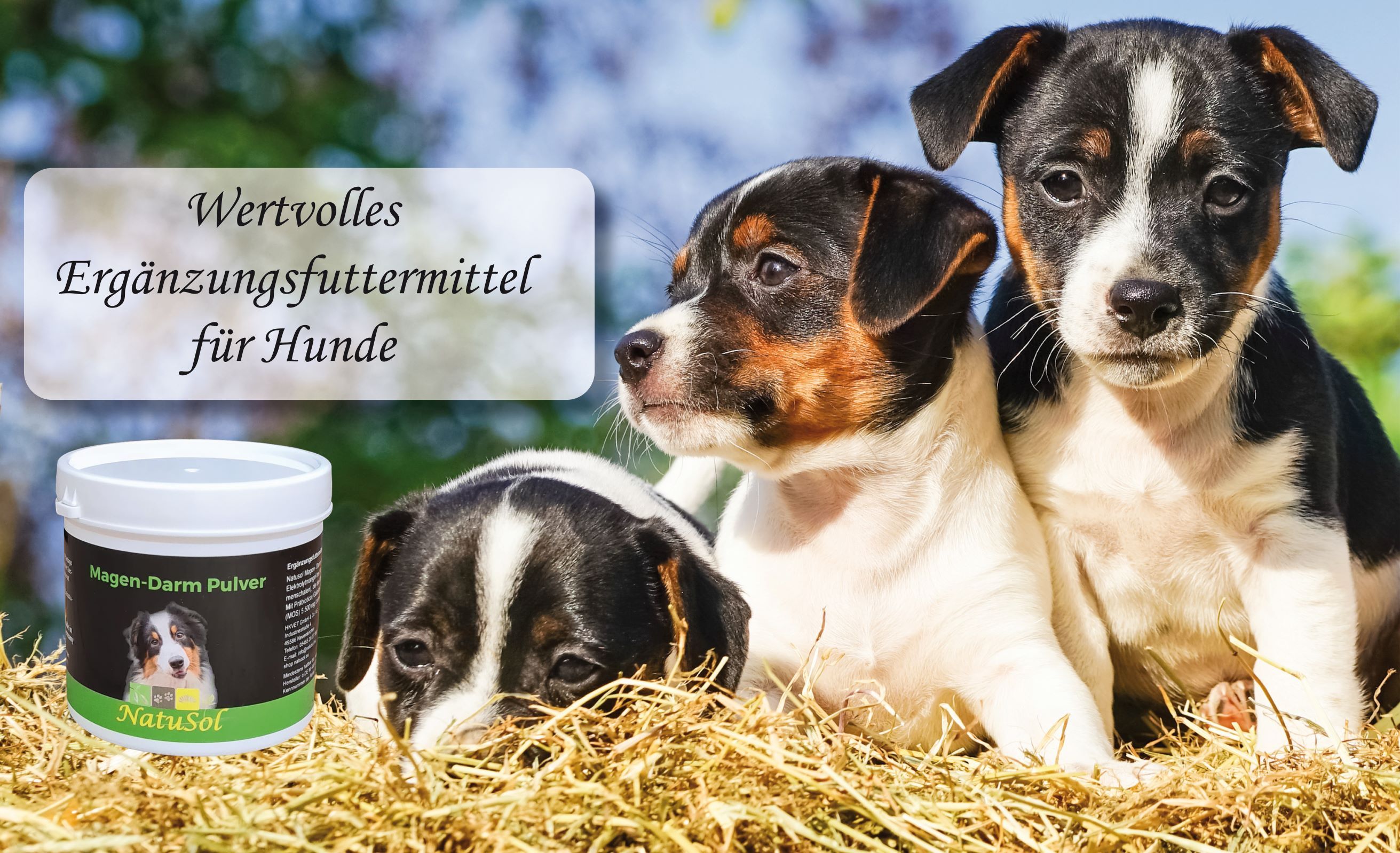 NatuSol Magen-Darm Pulver für Hunde -mit Prä- und Probiotica- 100 g