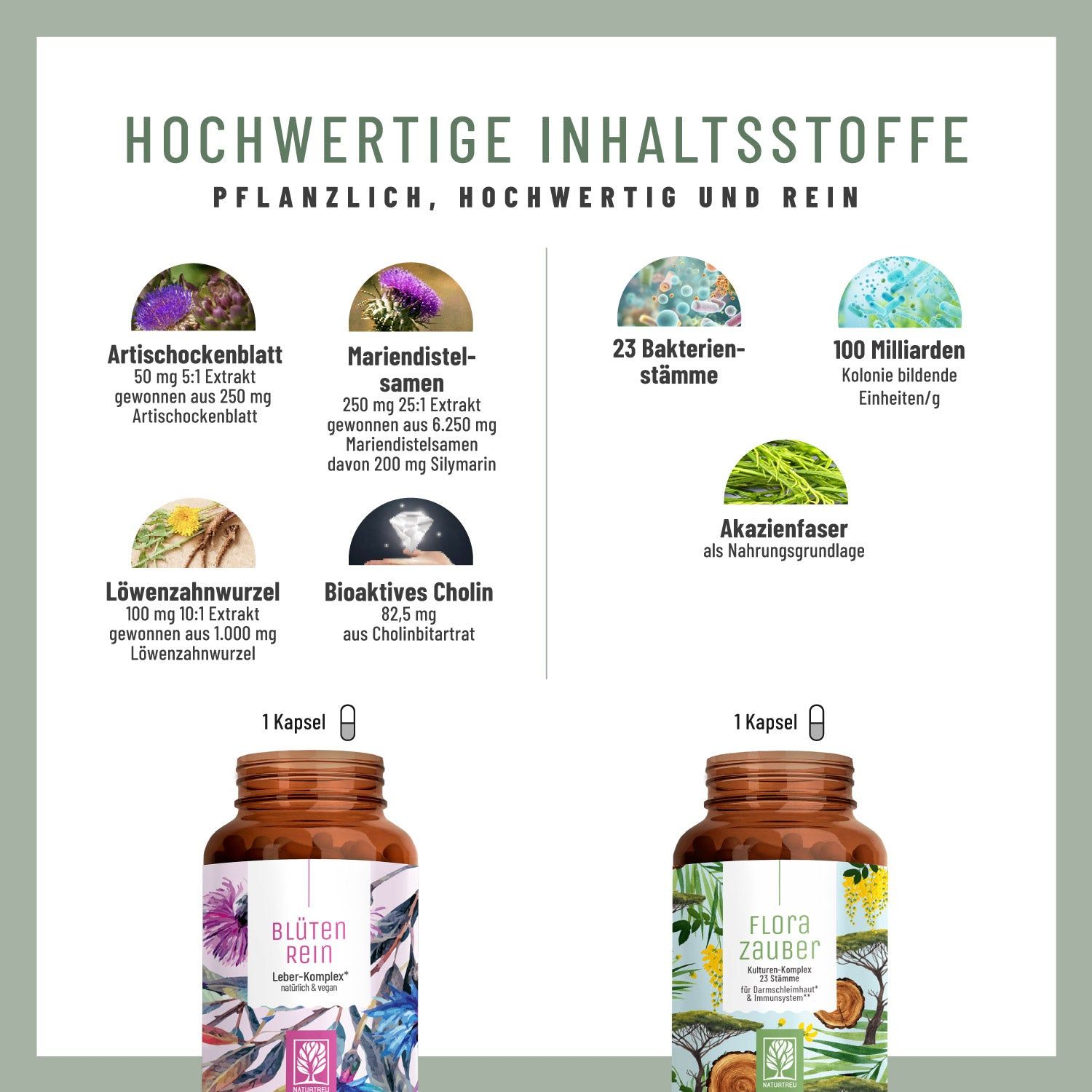 FLORAZAUBER BLÜTENREIN Paket - NATURTREU®
