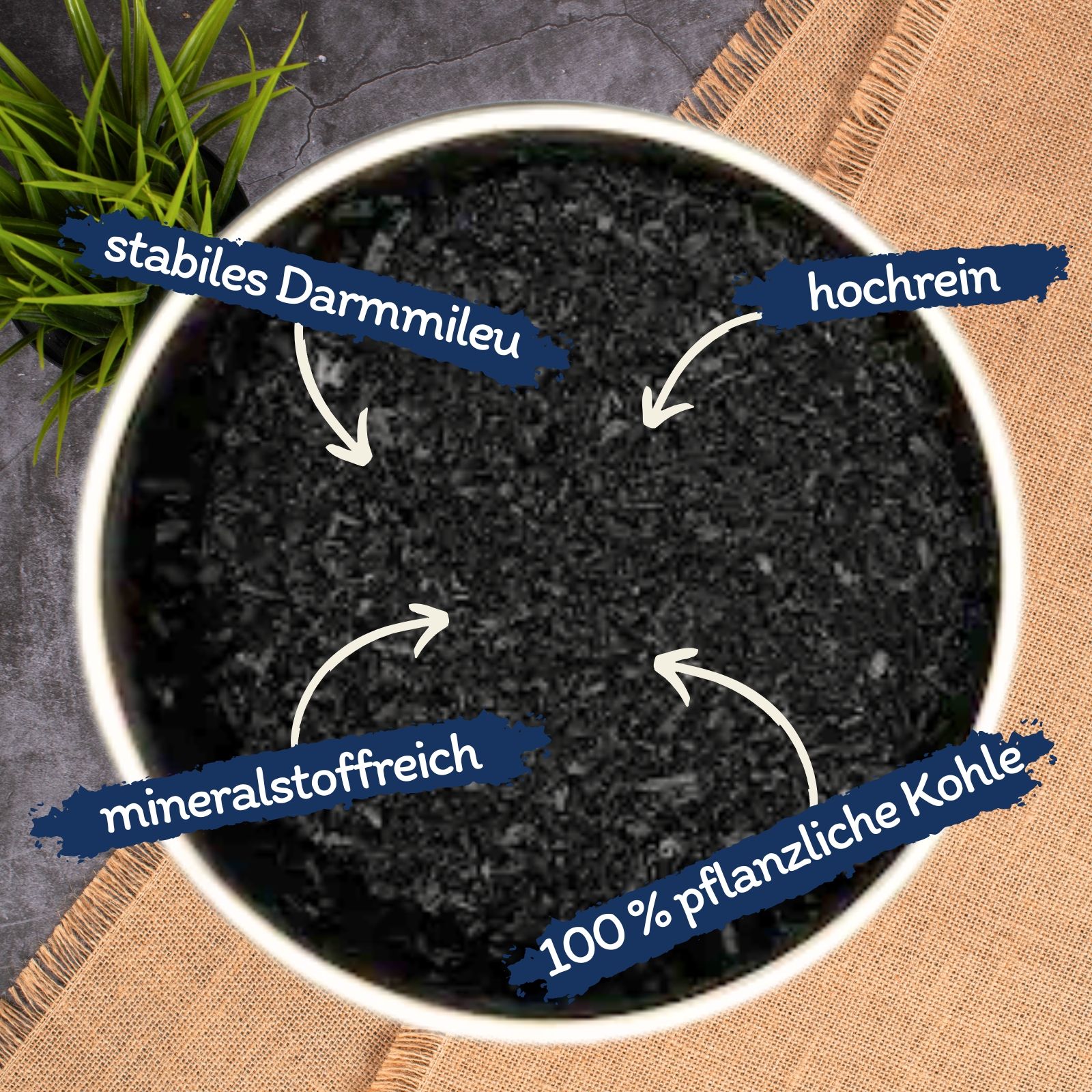 Schwarzes Granulat in einer weißen Schale, umgeben von Pfeilen mit Texten wie 'stabilis', 'hochrein', 'mineralstoffreich'.