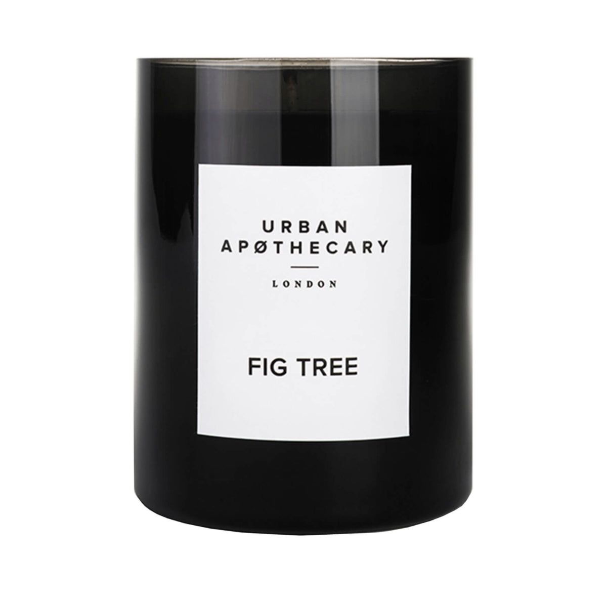 Urban Apothecary Luxury Boxed Glass Candle - Fig Tree
