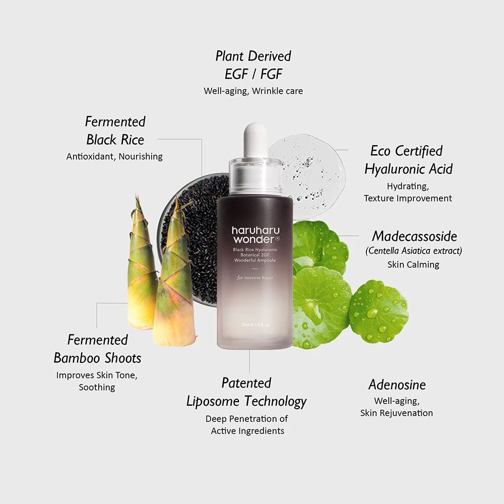 Produkt mit Inhaltsstoffen. Serumflasche, Bambussprossen, schwarzer Reis, Centella Asiatica. Text: Fermented Black Rice, Hyaluronic Acid.