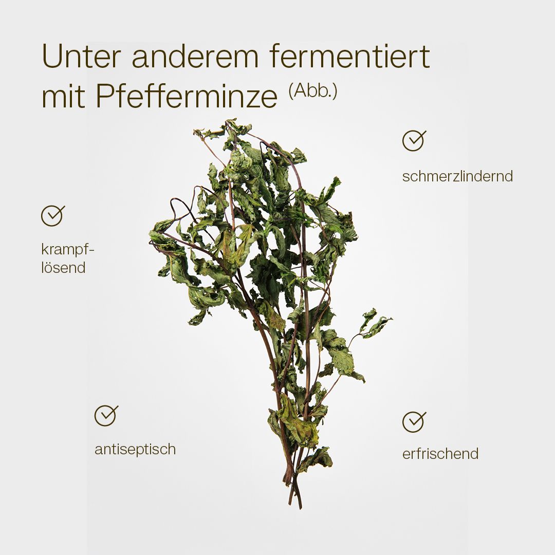 MikroVeda ORAL MINT