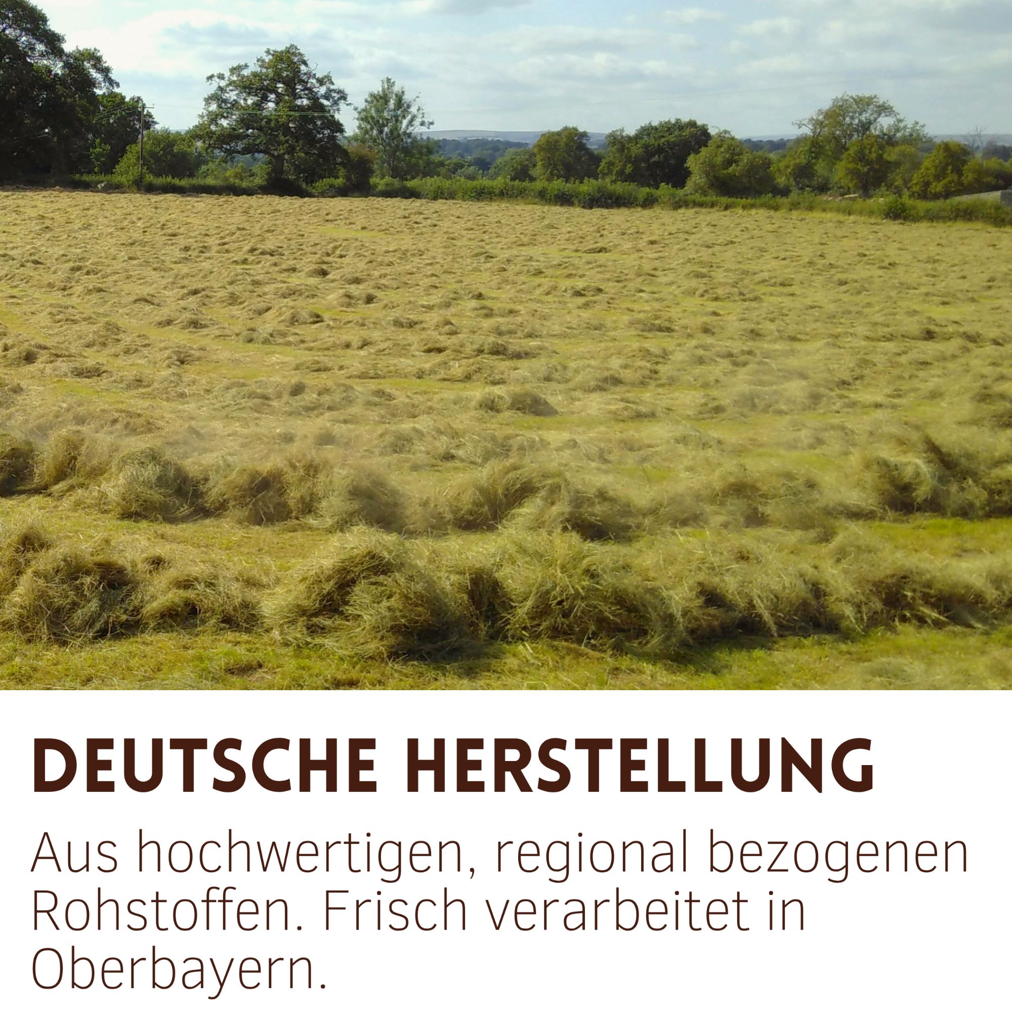 Heuernte auf einem Feld. Text: Deutsche Herstellung. Aus hochwertigen, regional bezogenen Rohstoffen. Frisch verarbeitet in Oberbayern.