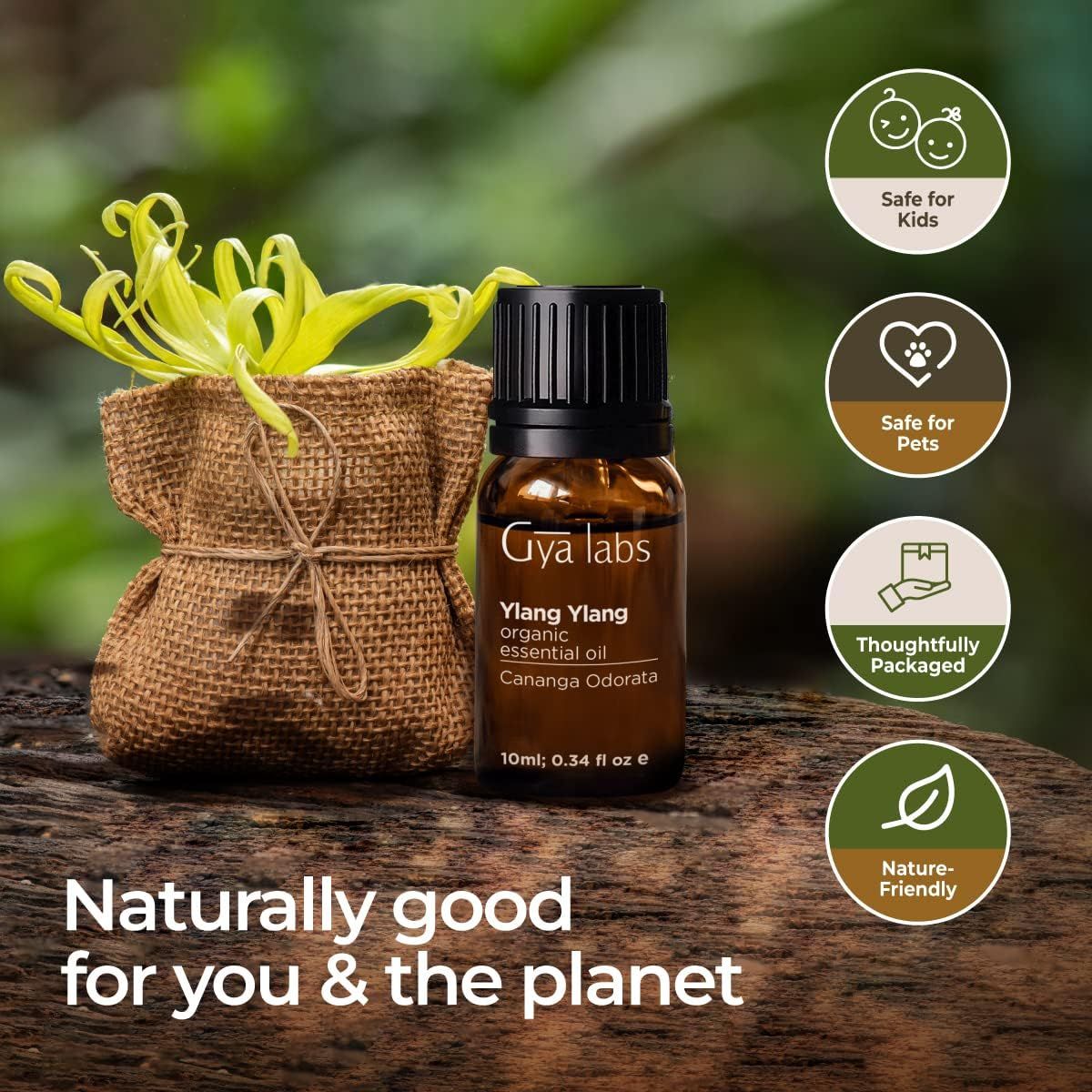 Braune Glasflasche mit schwarzem Deckel, in einem Beutel. Text: Naturally good for you & the planet. Symbole: Kinder, Haustiere, Verpackung, Blatt.