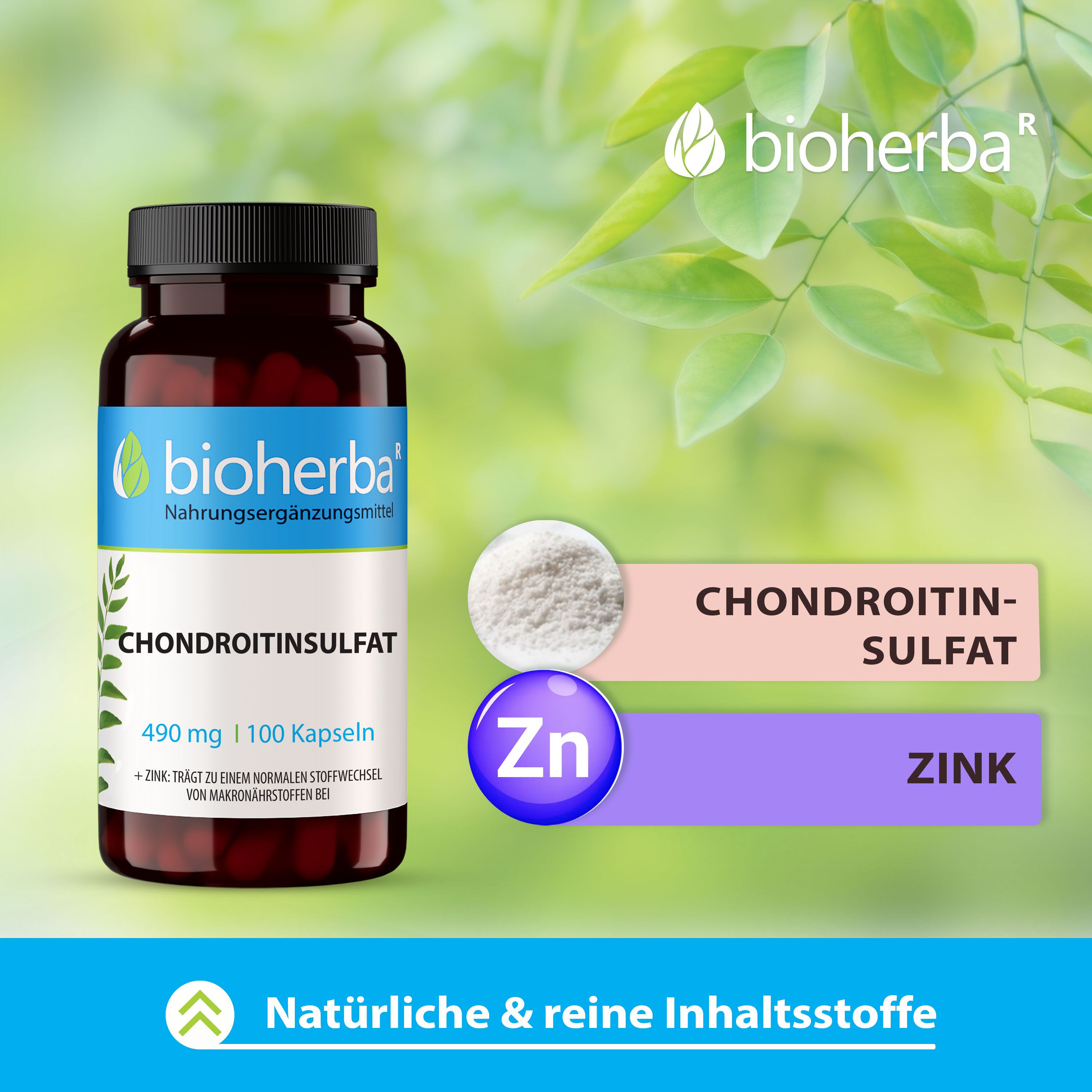 Bioherba Chondroitinsulfat Kapseln