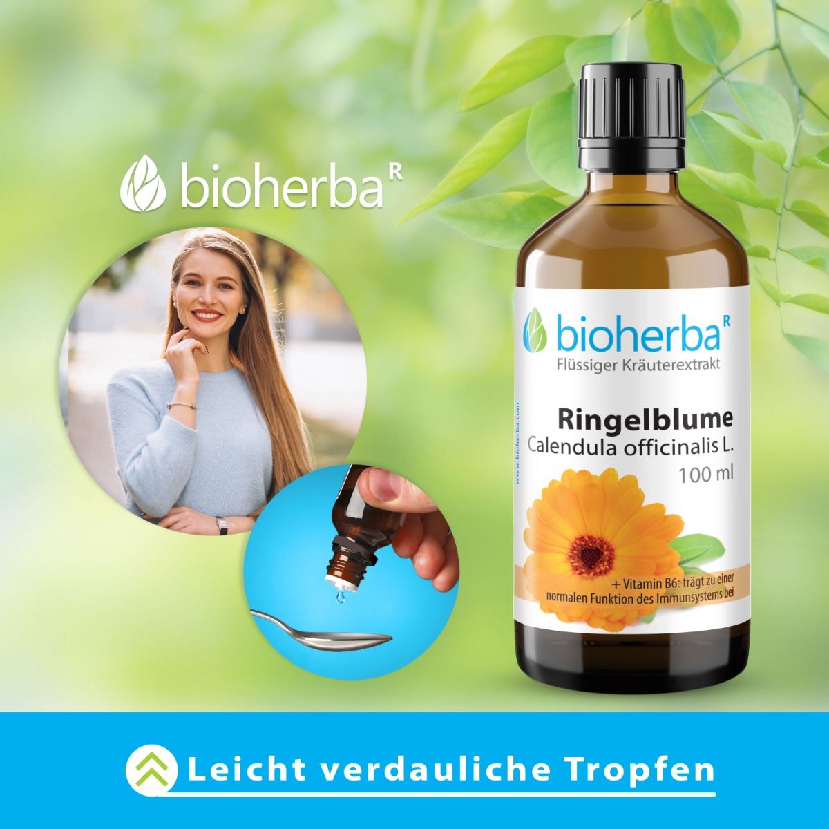 Ringelblume Calendula officinalis L. 100 ml PZN 17187209