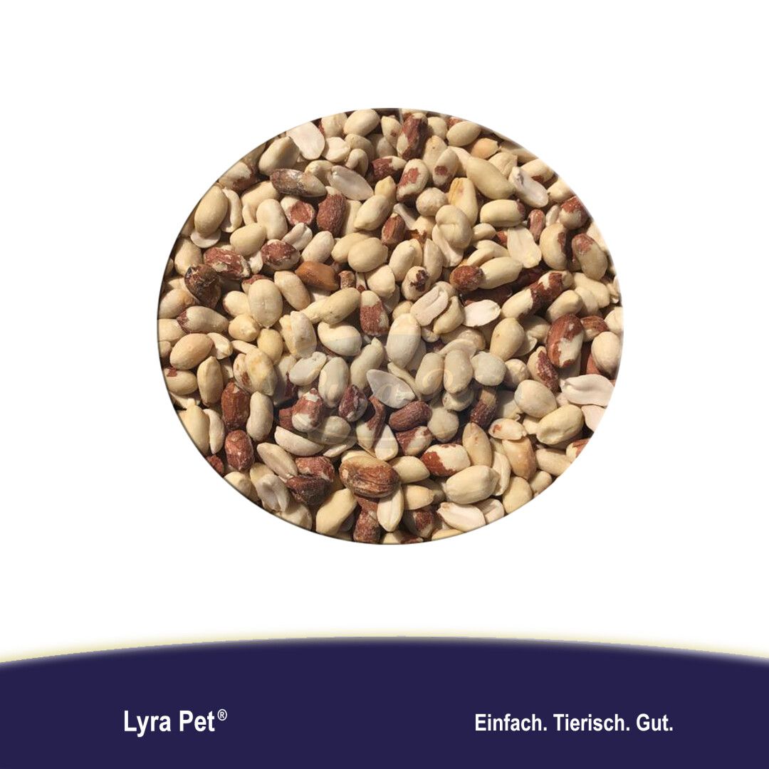 Lyra Pet® Erdnusskerne Splits gemischt blanchiert und mit Haut