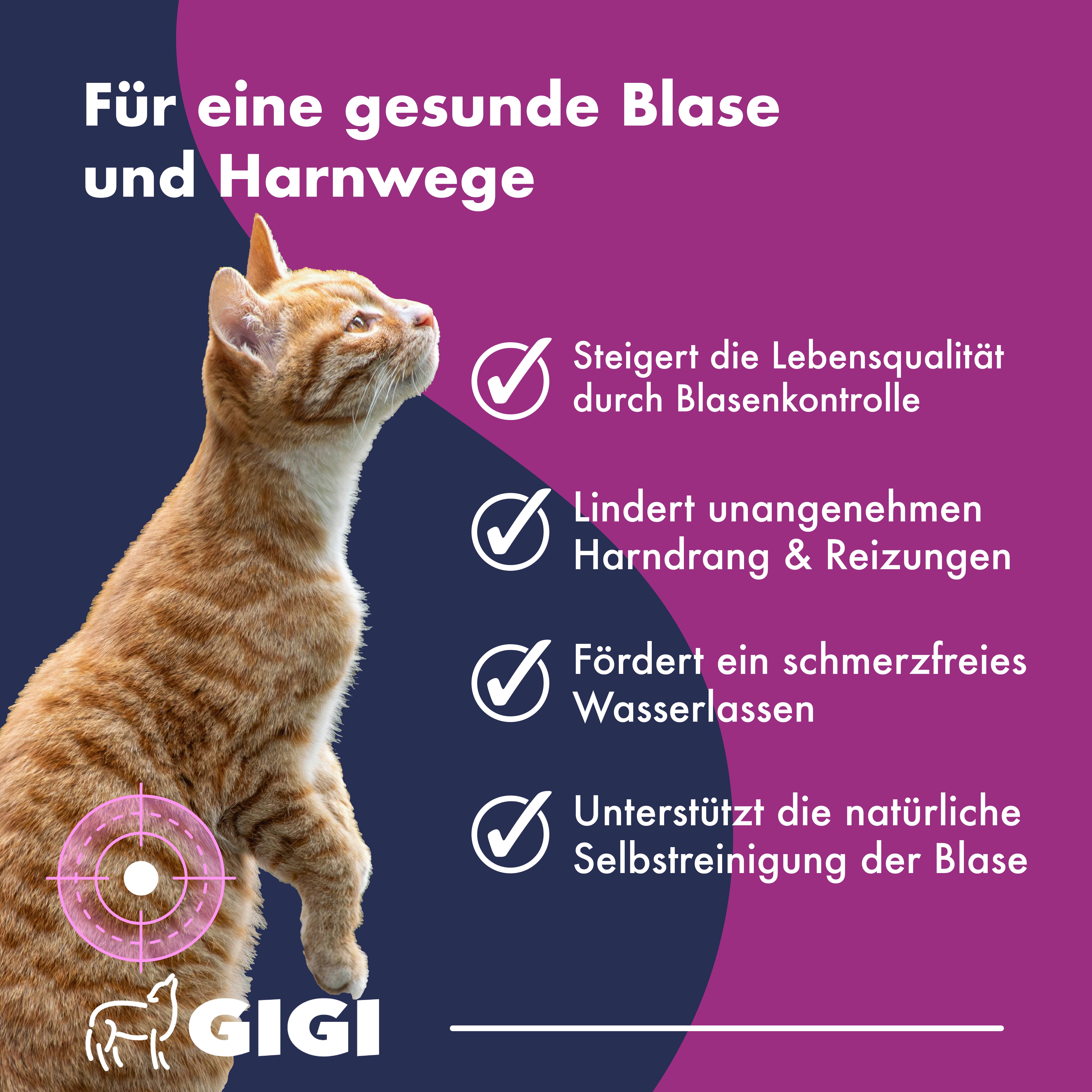 Katze blickt nach oben. Text: Für eine gesunde Blase und Harnwege. Illustrationen: Häkchen.