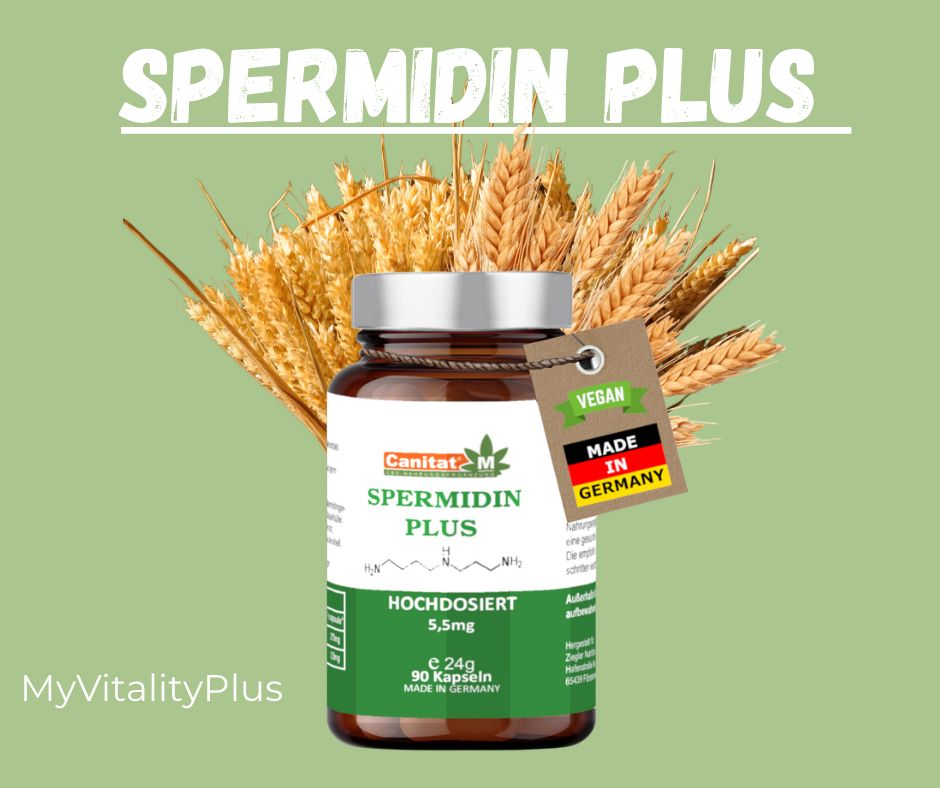 Braune Glasflasche mit Etikett. Aufschrift: SPERMIDIN PLUS 5,5mg, 90 Kapseln. Vegan-Label. Made in Germany. Weizenähren im Hintergrund. Text: MyVitalityPlus.