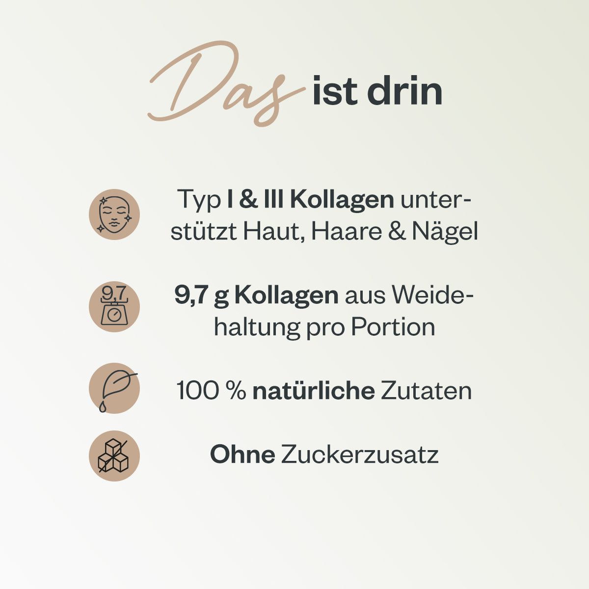 Infografik mit Text: Typ I & III Kollagen, 9,7g Kollagen pro Portion, 100% natürliche Zutaten, ohne Zuckerzusatz.