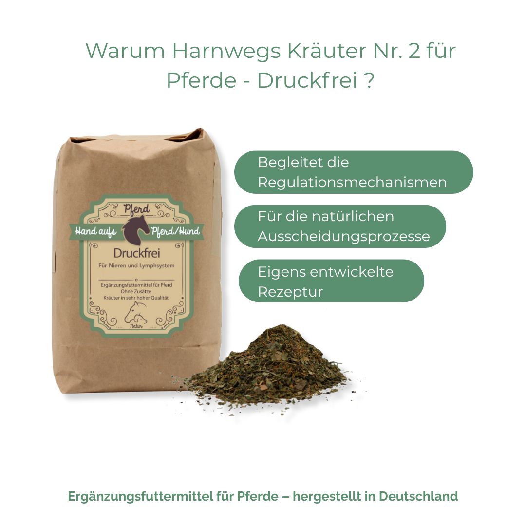 Braune Papiertüte mit Produktetikett und Kräutermischung. Text: Druckfrei, für Nieren und Lymphsystem. Begleitende Texte in grünen Blasen.