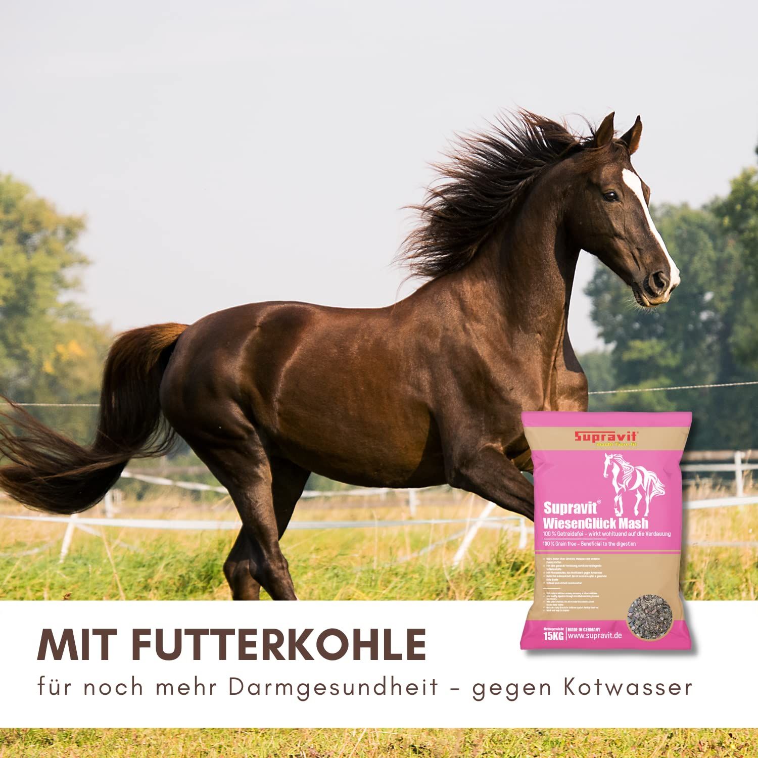 Pferd auf Wiese, Produktverpackung von Supravit WiesenGlück Mash.