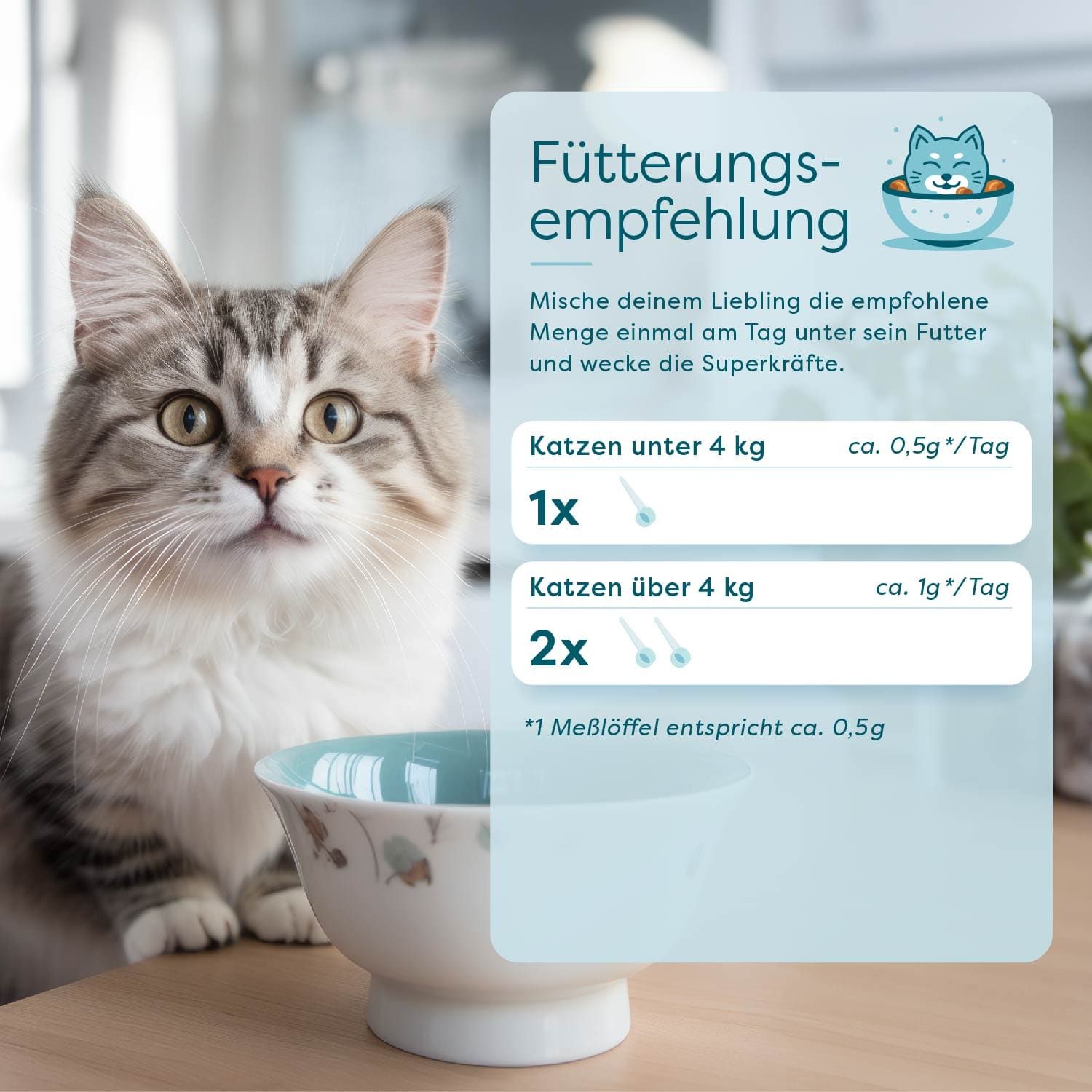 Katze neben einer Schüssel. Text: Fütterungsempfehlung. Für Katzen unter 4 kg: 0,5g/Tag. Für Katzen über 4 kg: 1g/Tag. Messlöffel entspricht 0,5g.