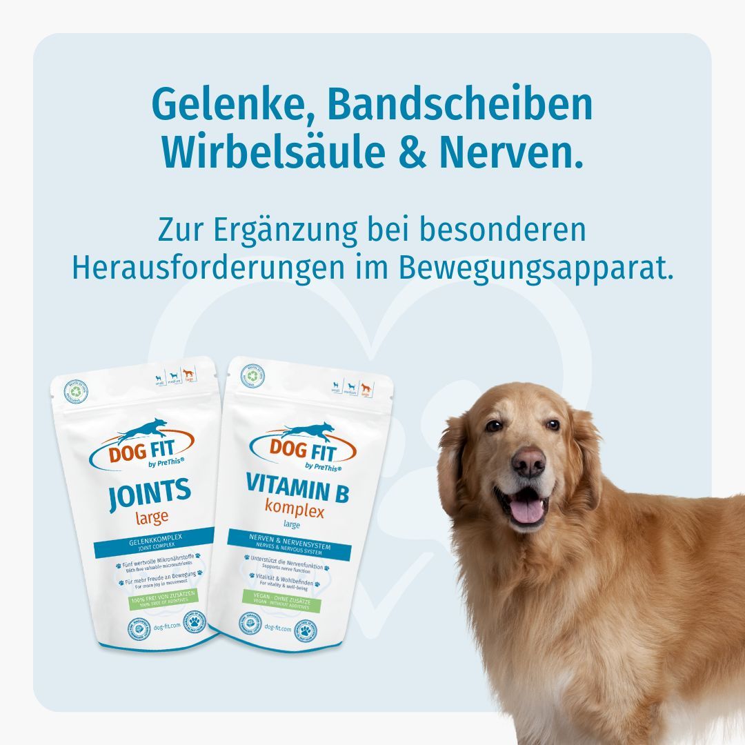 Zwei DOG FIT by PreThis® Beutel, JOINTs und VITAMIN B komplex, neben einem Golden Retriever. Text: Gelenke, Bandscheiben, Wirbelsäule & Nerven.